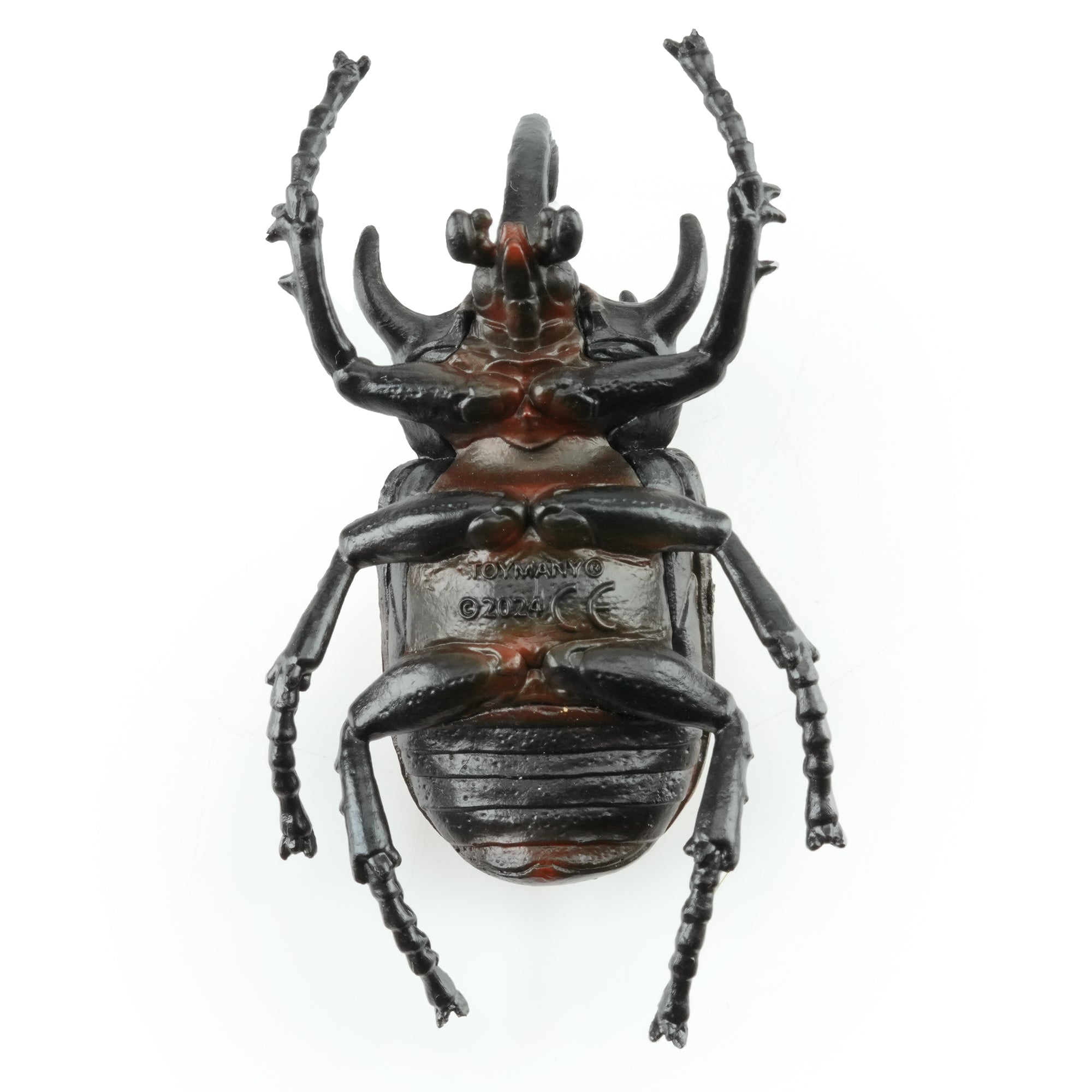 Toymany_Five-horned_Rhinoceros_Beetle_Figurine_Toy-back