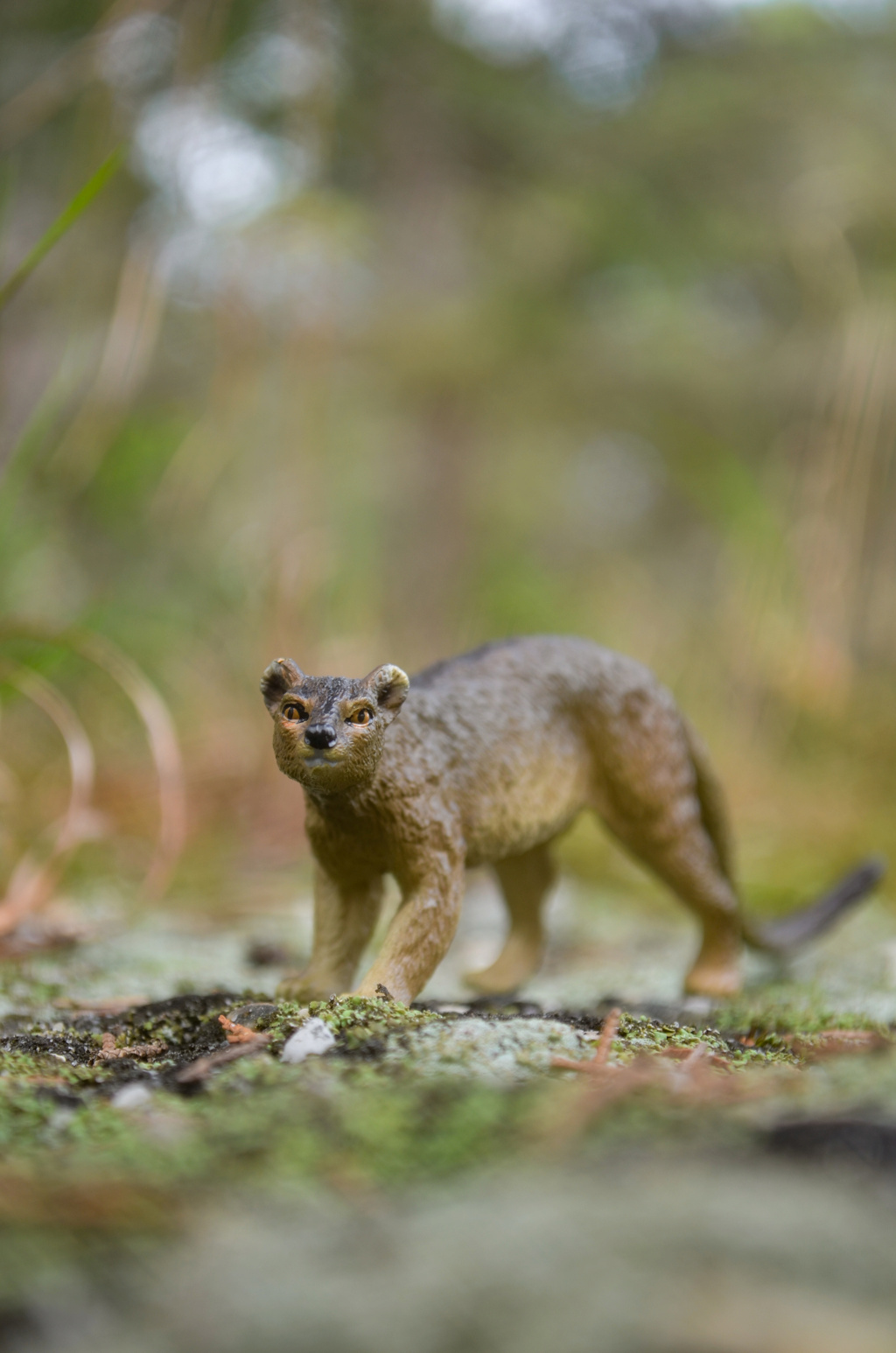 Toymany Fossa Figurine Toy