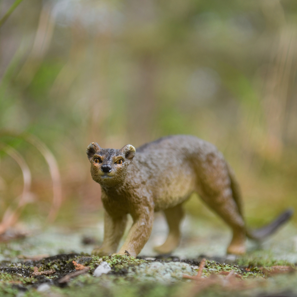 Juguete de figura de fosa Toymany