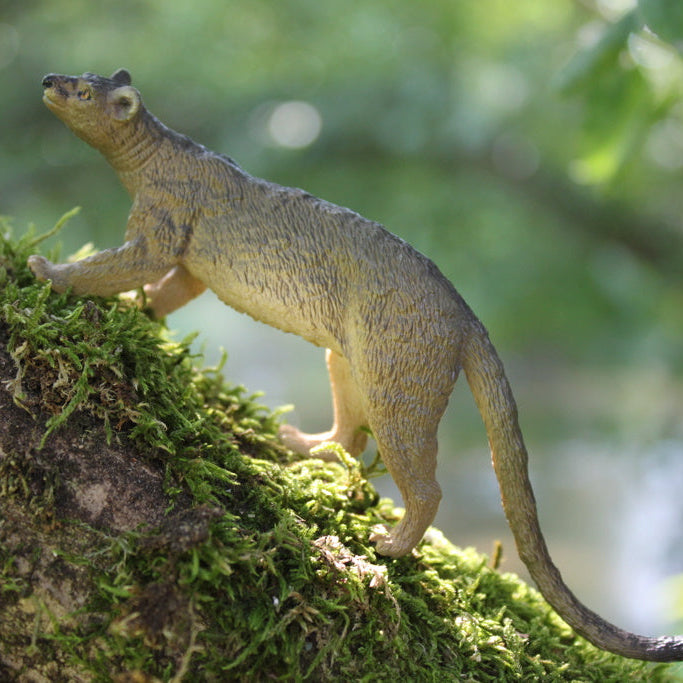 Juguete de figura de fosa Toymany