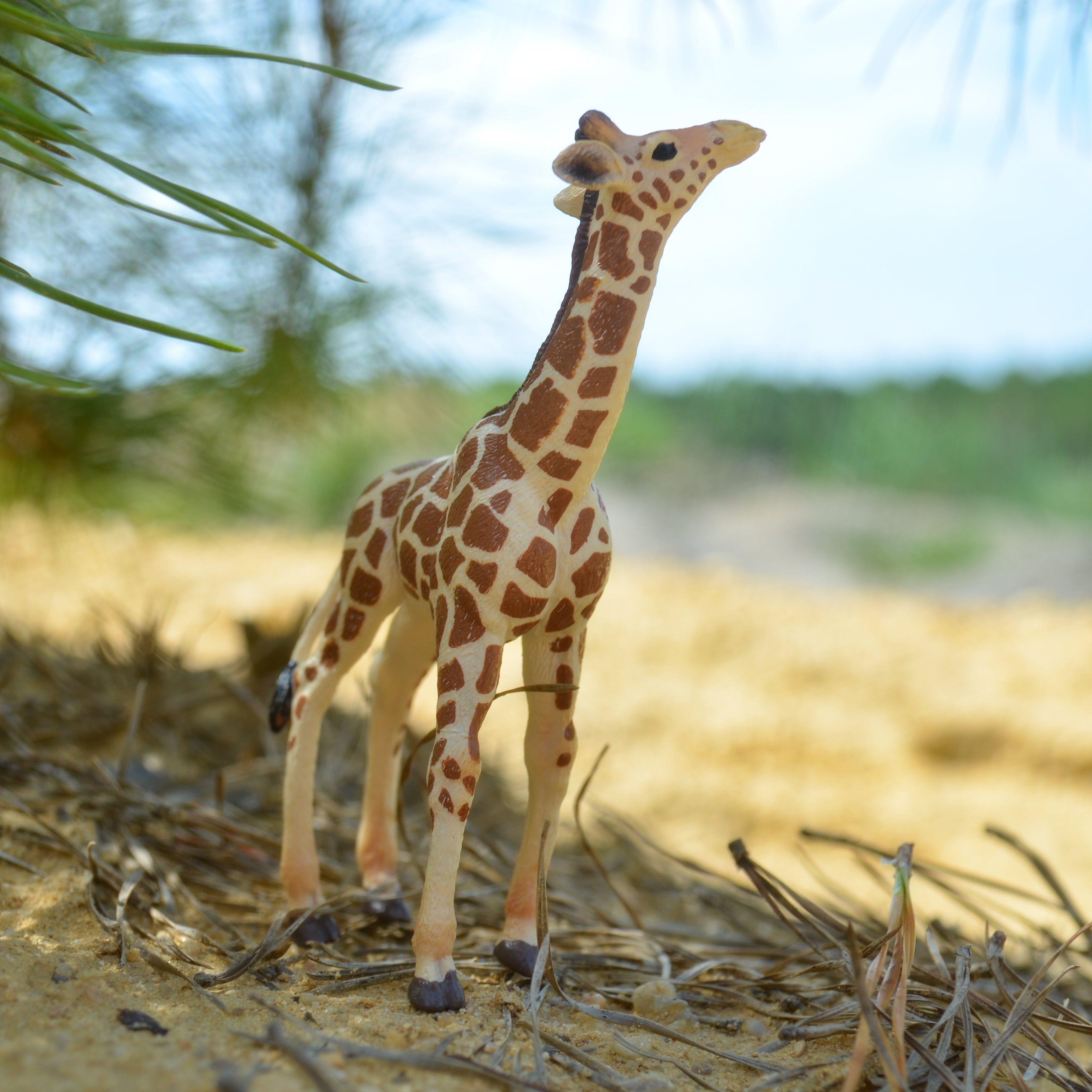 لعبة تمثال صغير على شكل زرافة وعجل من Toymany