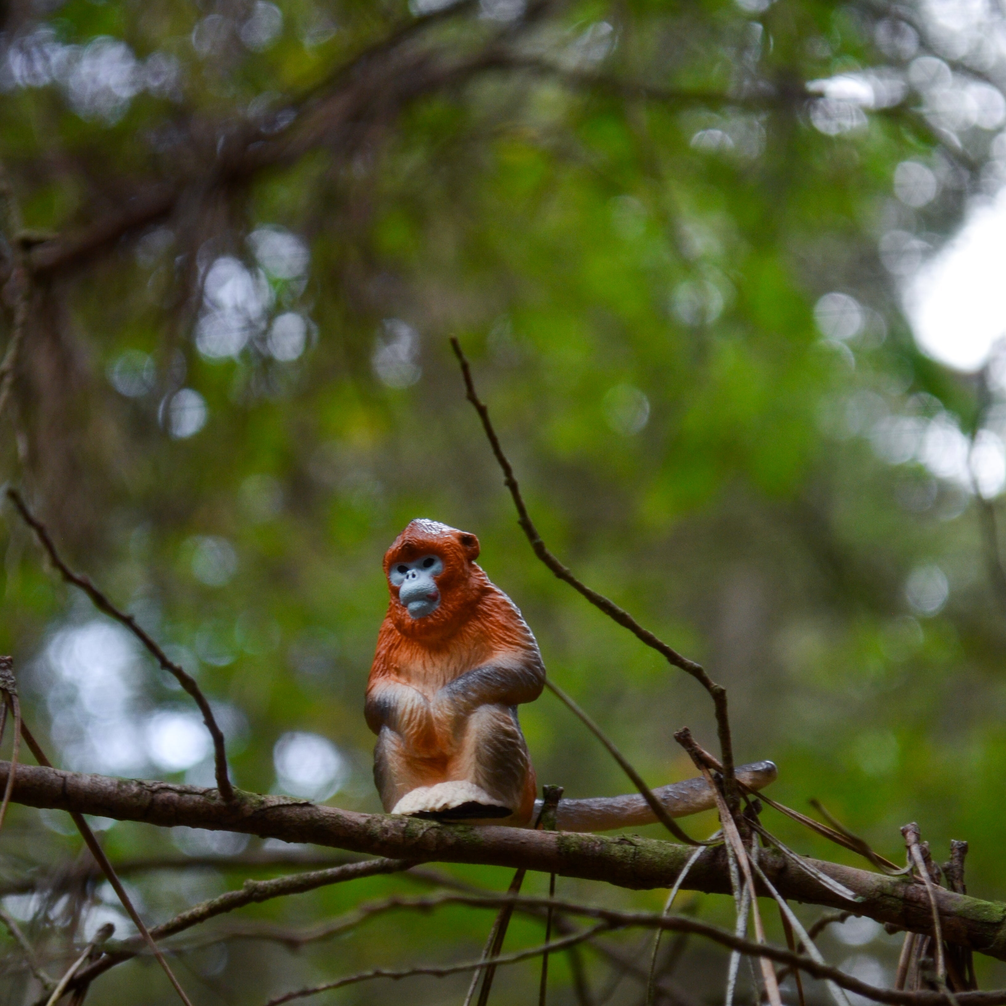 Toymany Golden Snub-nosed Monkey Figurine Toy