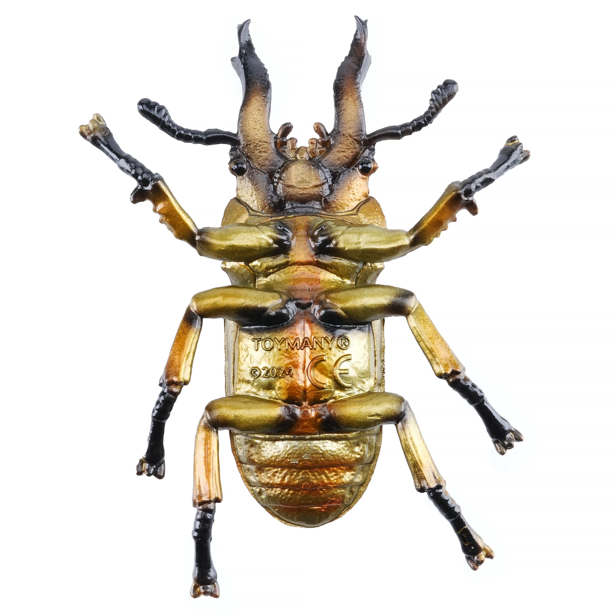 Toymany_Golden_Stag_Beetle_Figurine_Toy-back
