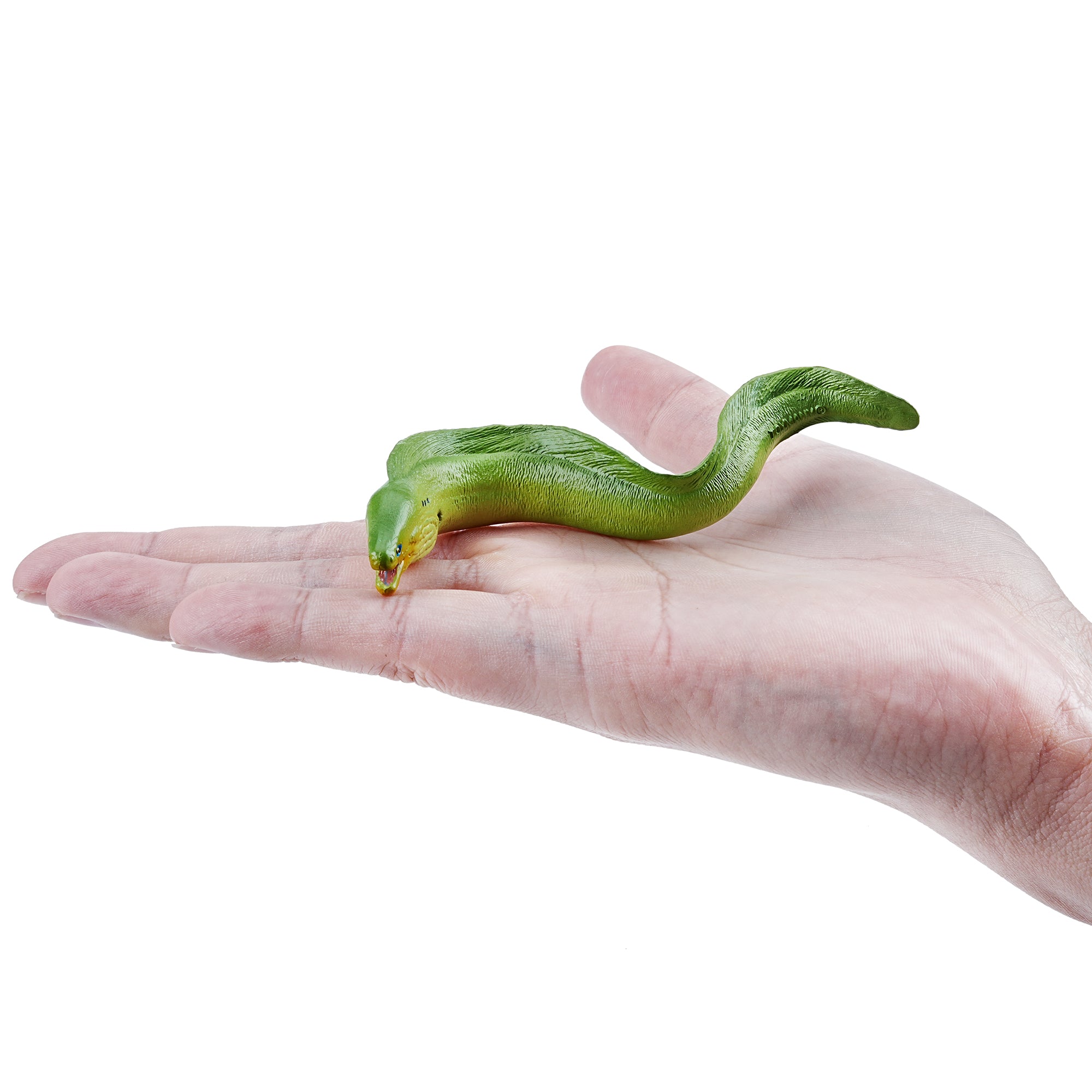 Toymany_Green_Moray_Eel_Figurine_Toy_Small_Size-on_hand