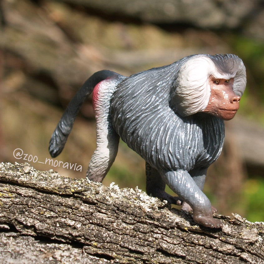 Toymany Hamadrayas Baboon Figurine Toy