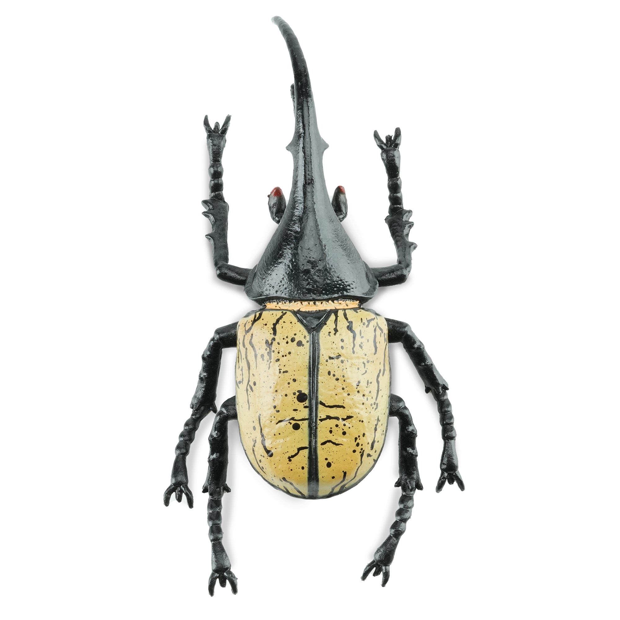 Toymany_Hercules_Beetle_Figurine_Toy-2