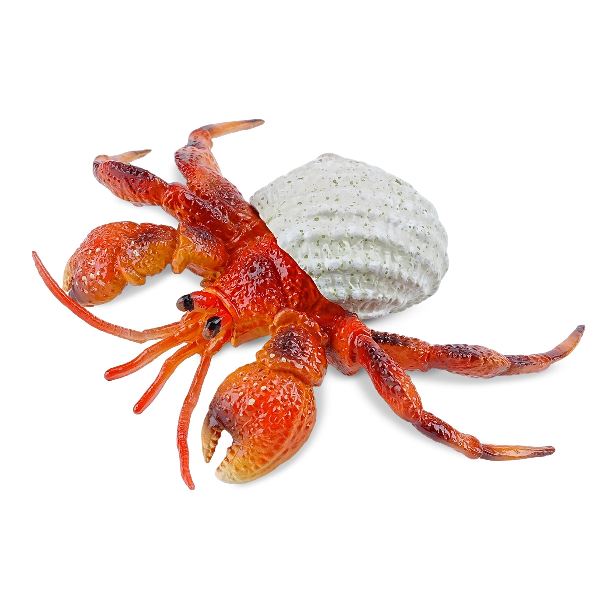 Toymany Hermit Crab | Realistic Animal Figurine Toy