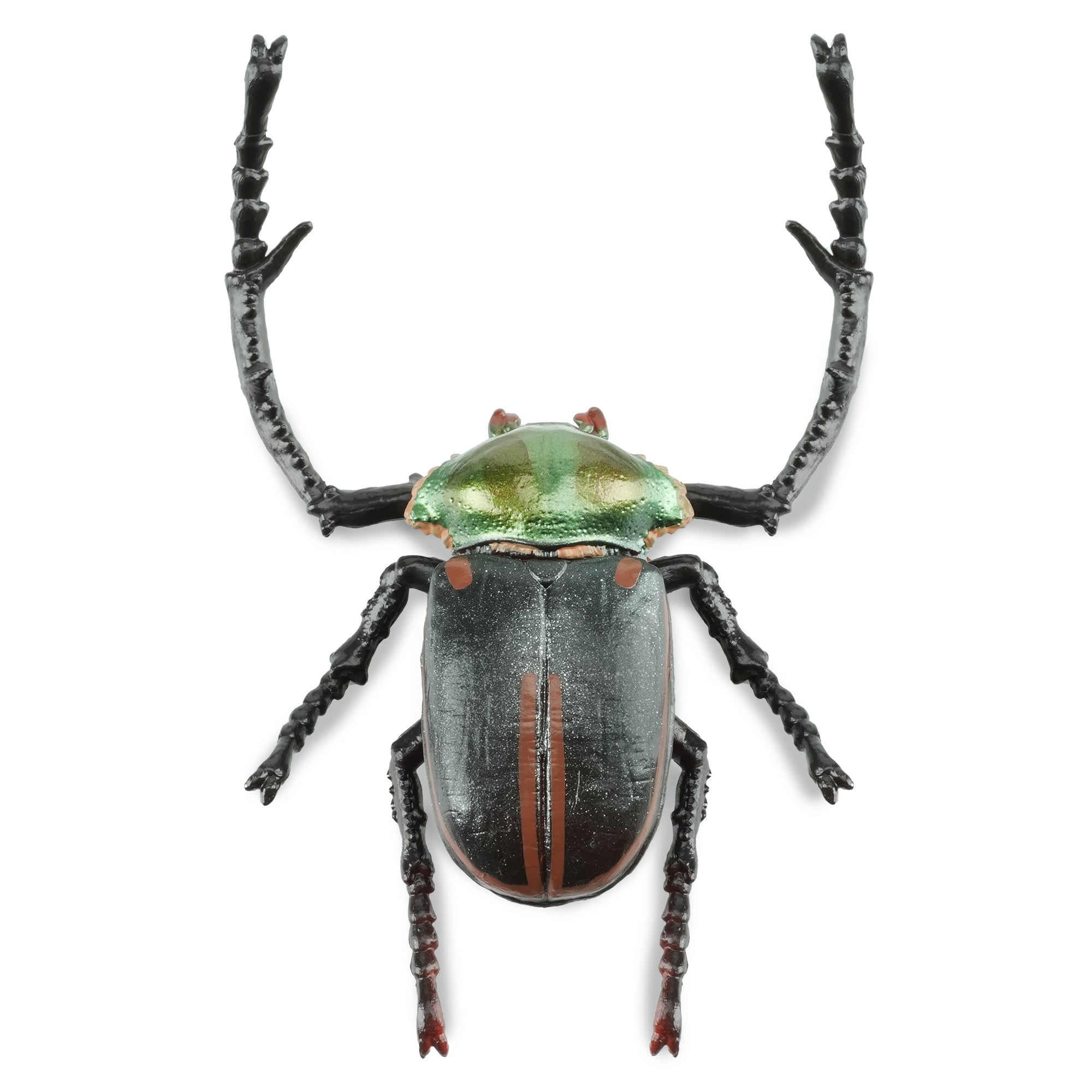 Toymany_Janson_s_Long-armed_Scarab_Beetle_Figurine_Toy-2
