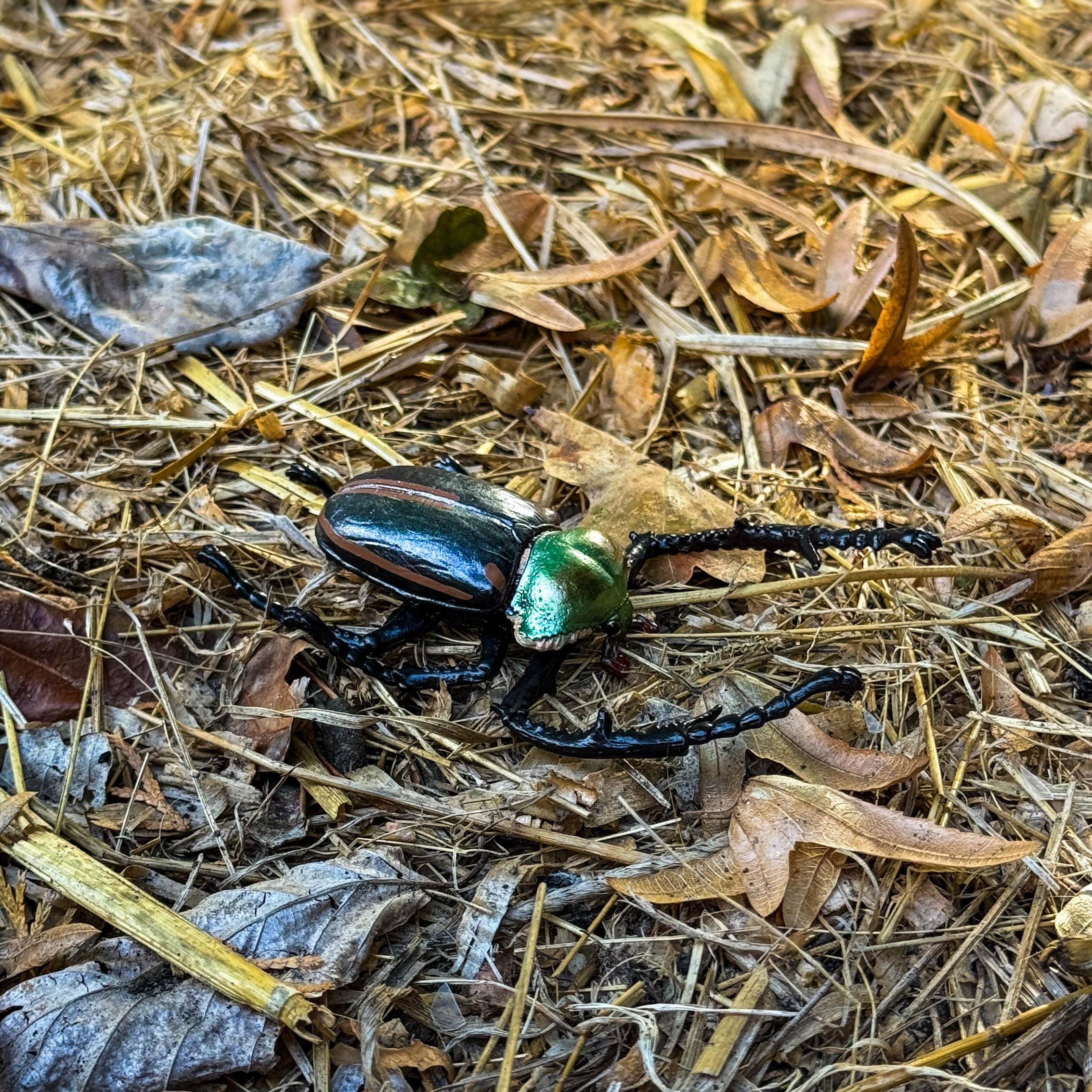 Toymany Janson’s Long-armed Scarab Beetle Figurine Toy