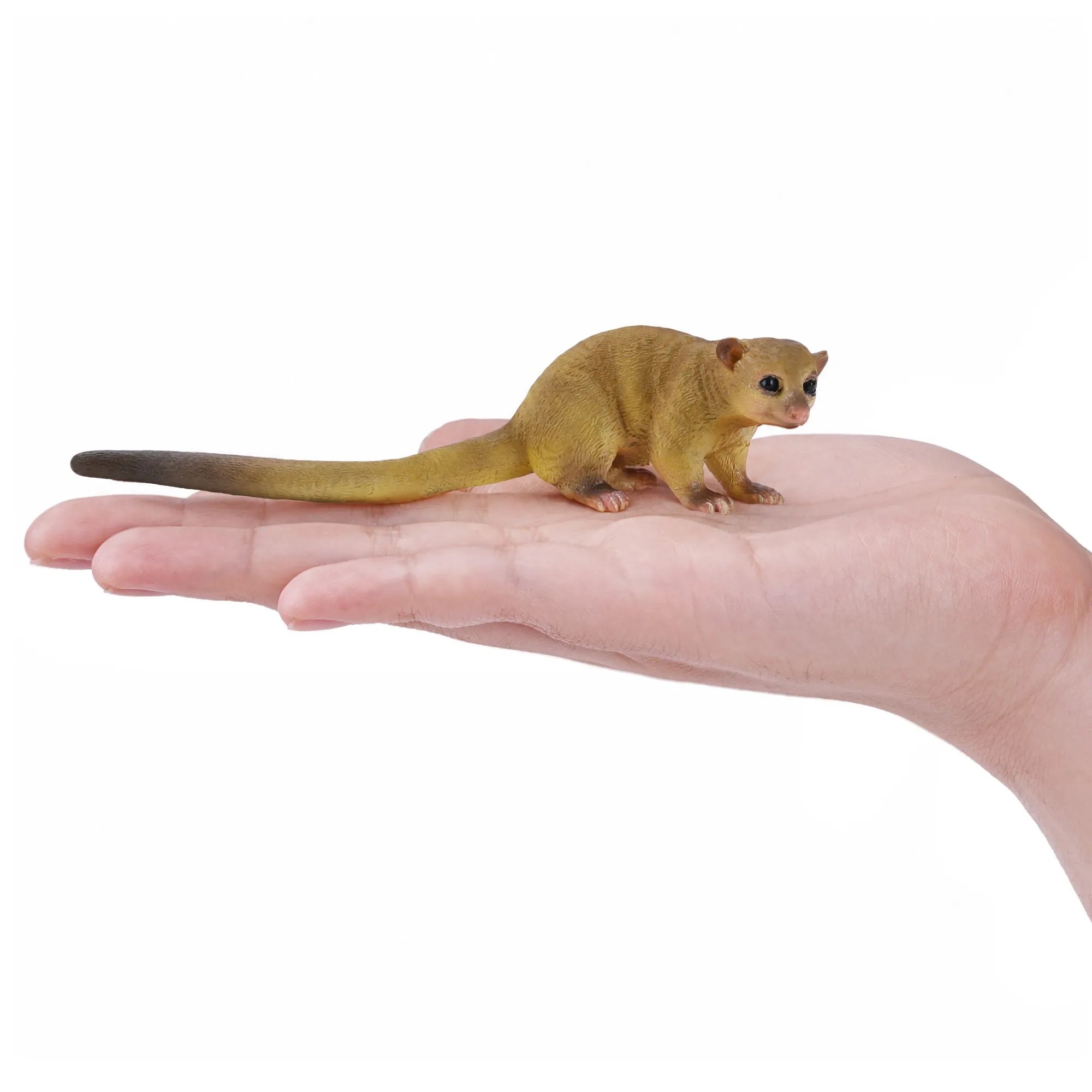 Toymany Kinkajou Figurine Toy-on hand