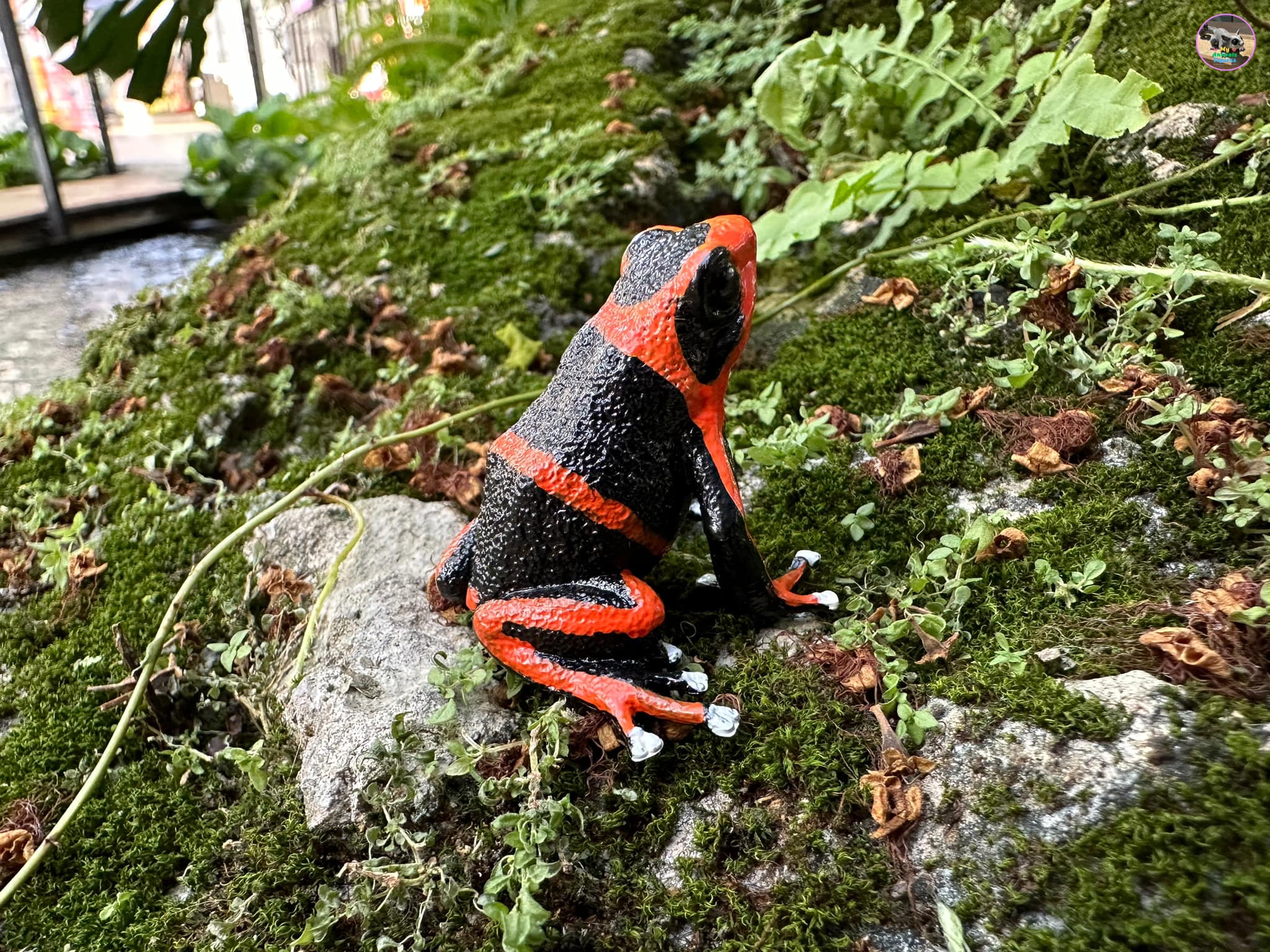 لعبة تمثال ضفدع ليهمان السام من Toymany