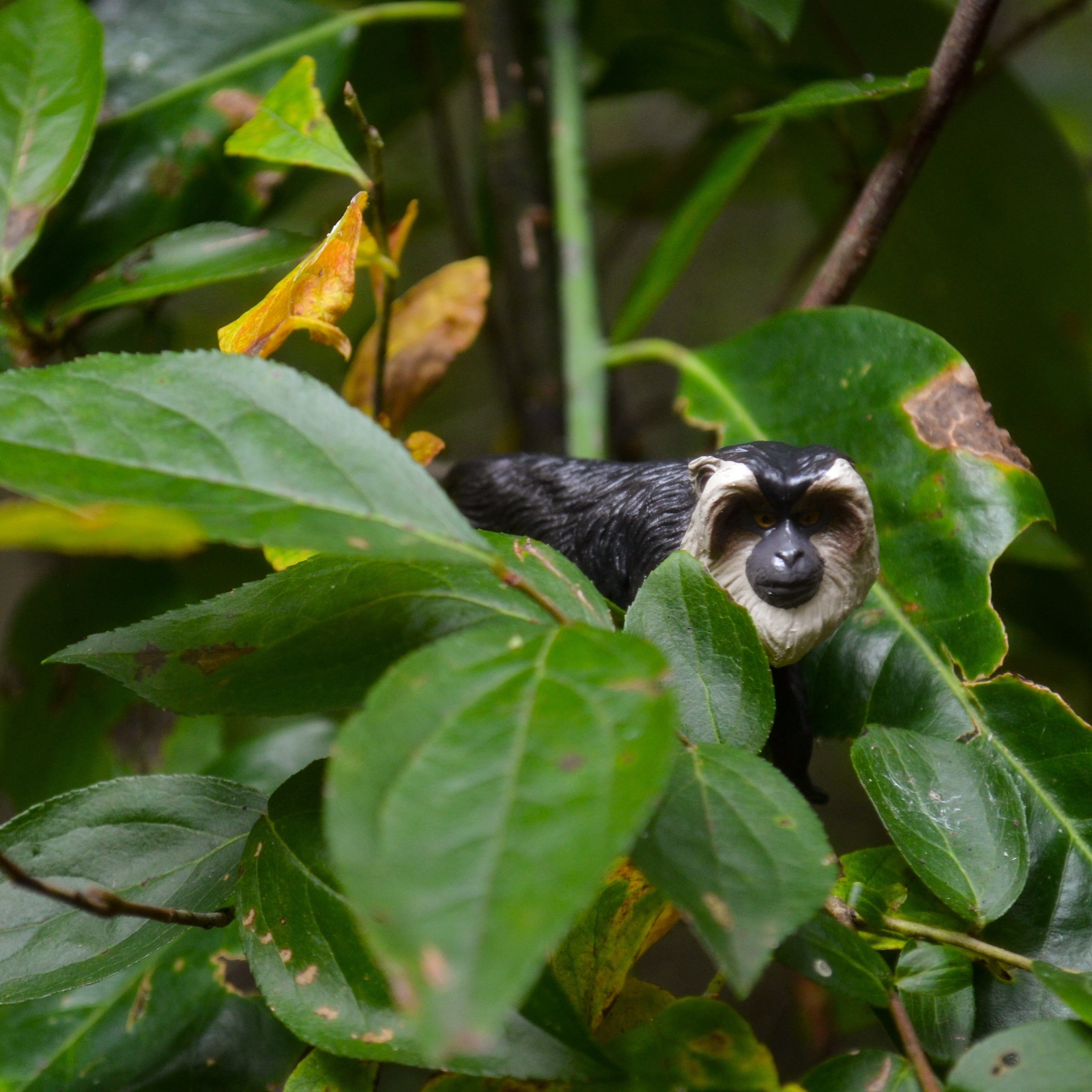 Toymany Lion-tailed Macaque Figurine Toy