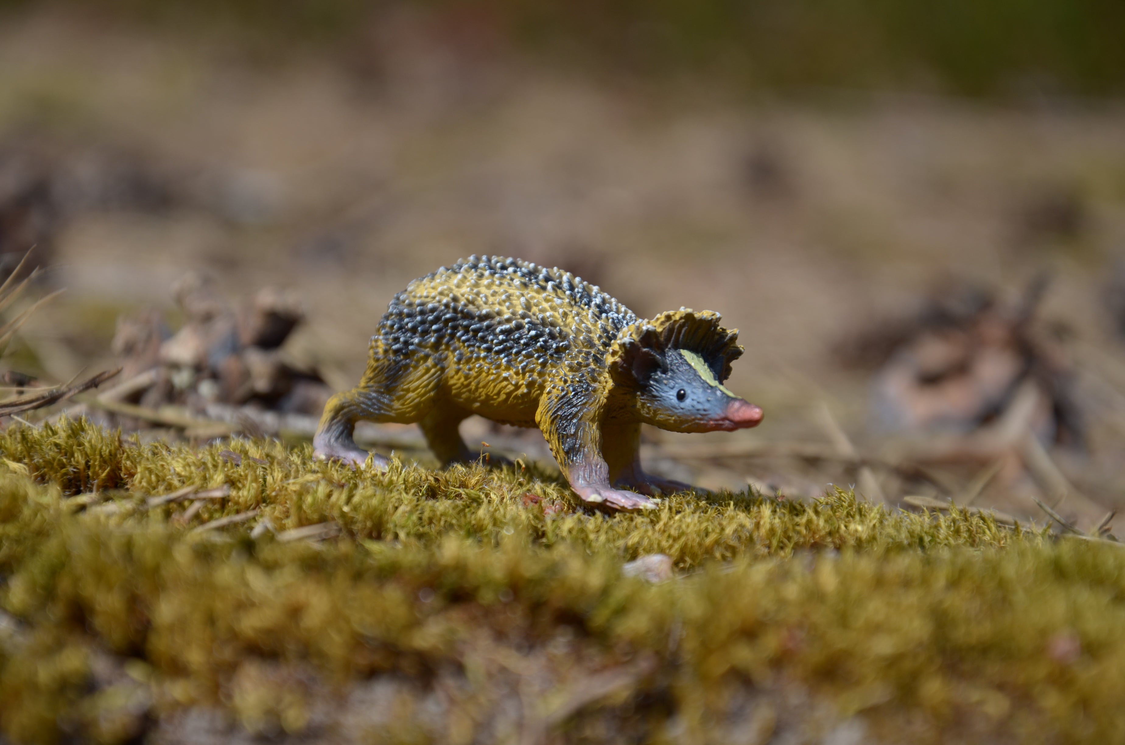 لعبة مجسّم من Toymany للتنريك المخطط من الأراضي المنخفضة