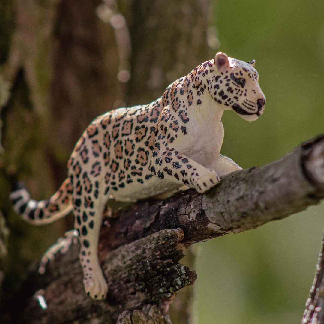 Figura de juguete Toymany de jaguar hembra acostada