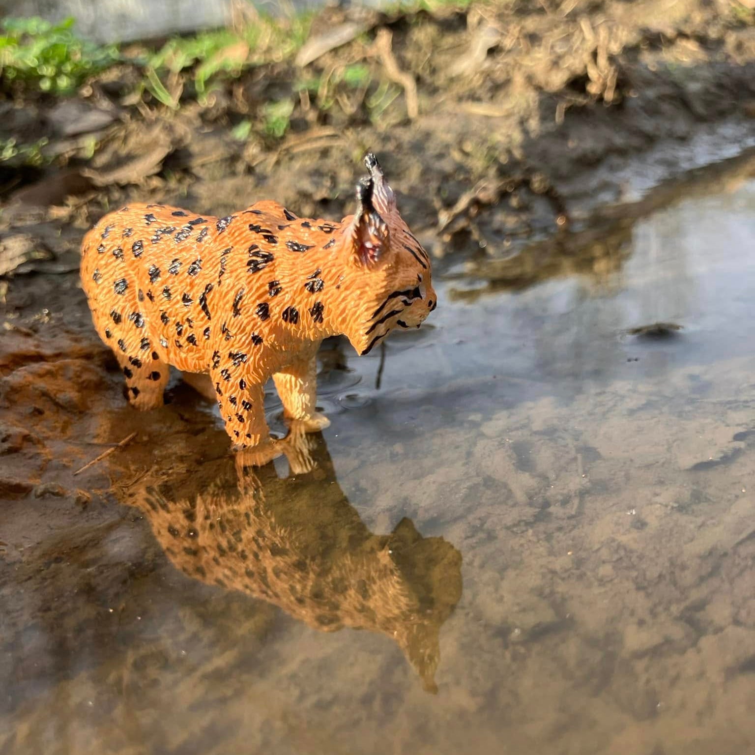 Toymany Lynx Figurine Toy