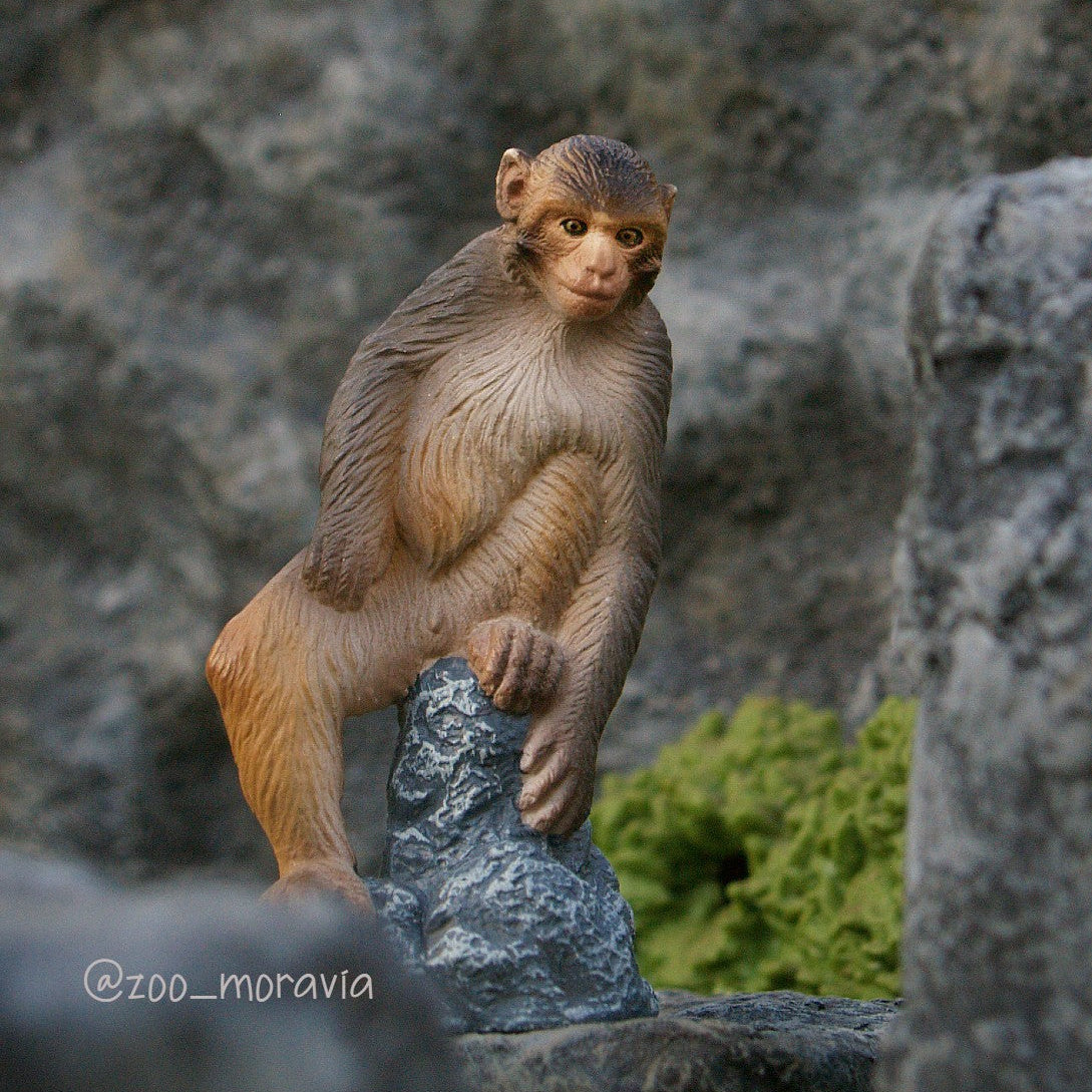 Toymany Macaque Figurine Toy