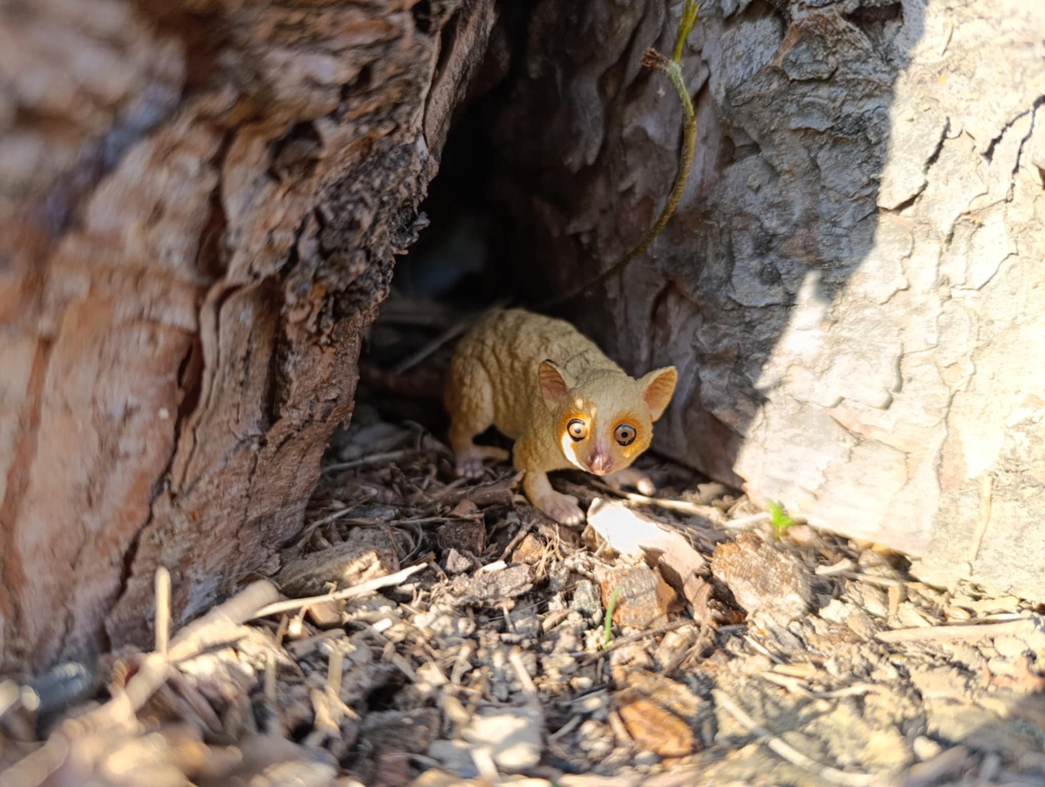 Jouet figurine de microcèbe de Madame Berthe Toymany