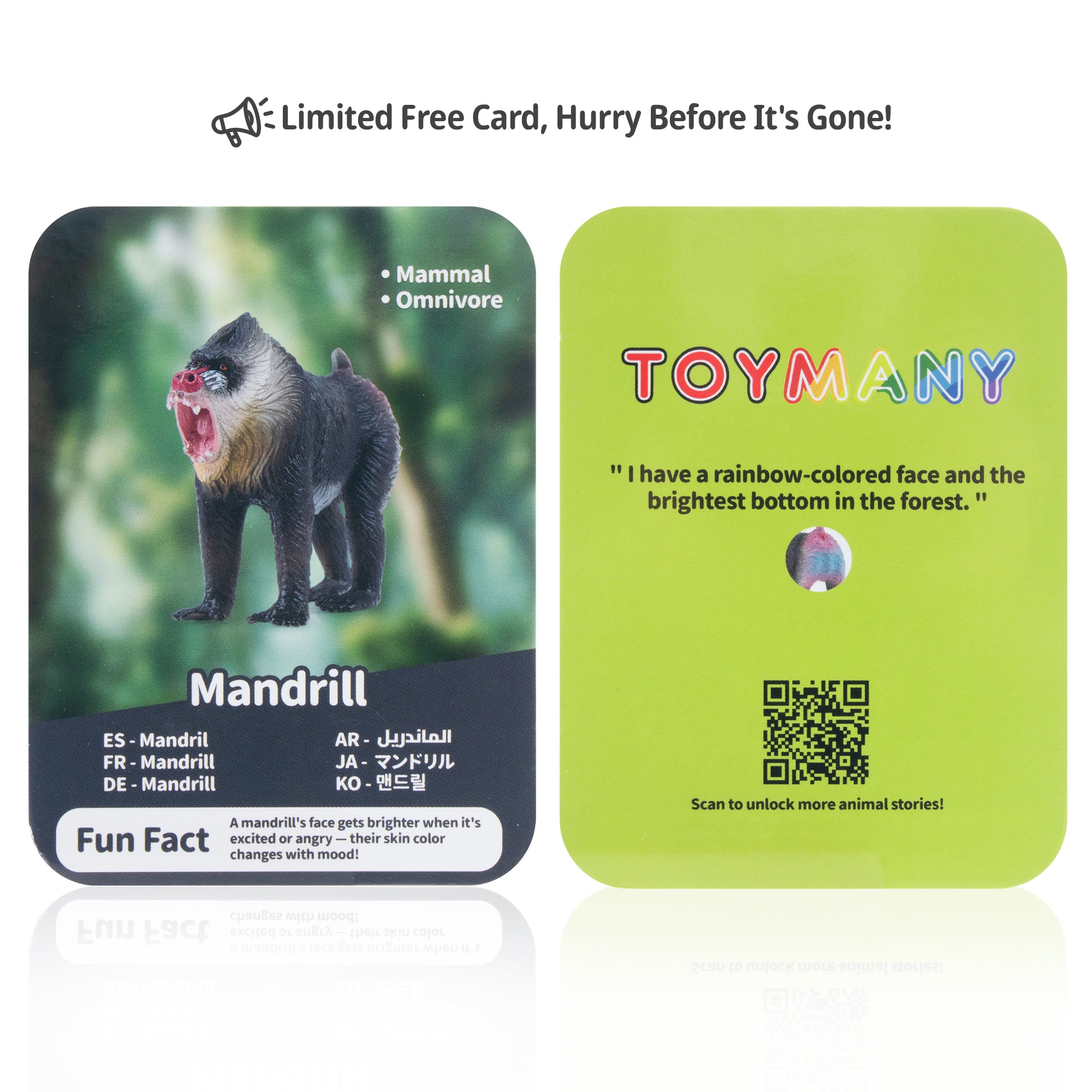 Toymany Mandrill Figurine Toy