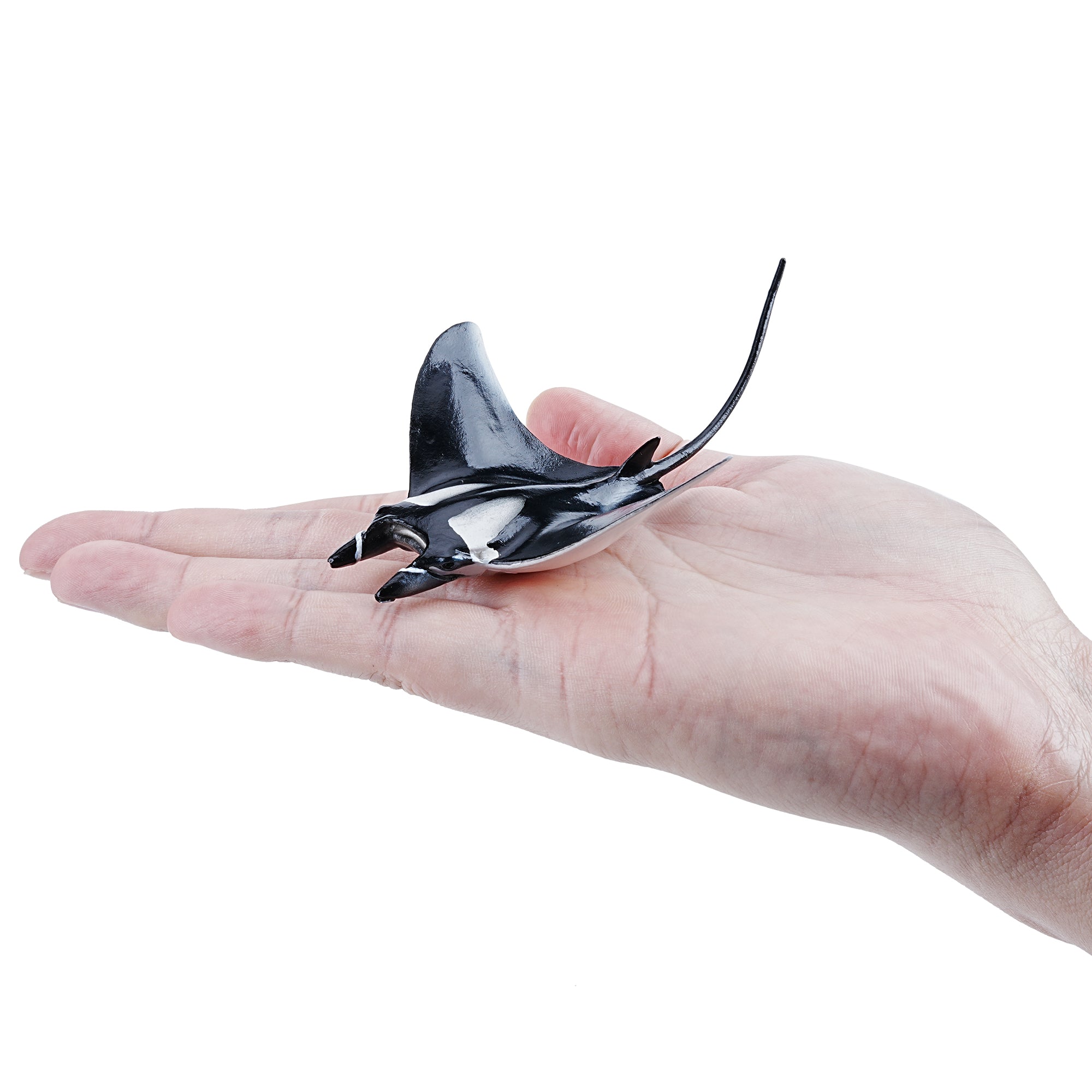 Toymany_Manta_Ray_Figurine_Toy_SmallSize-onhand