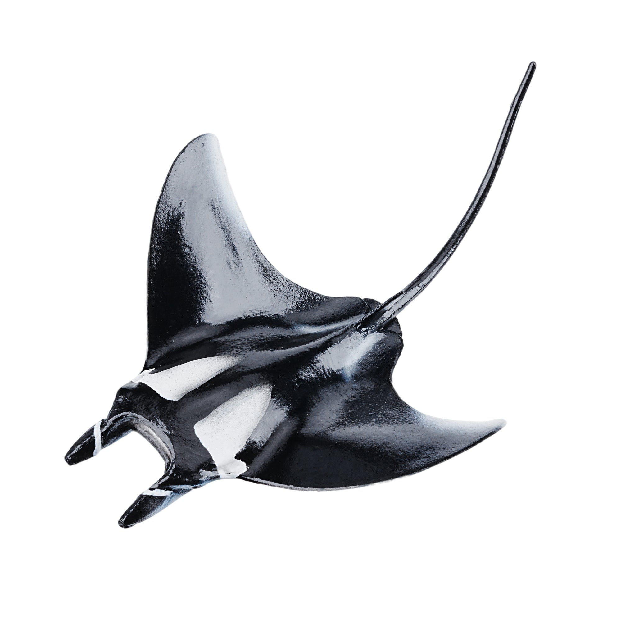 Toymany_Manta_Ray_Figurine_Toy_Small_Size-1