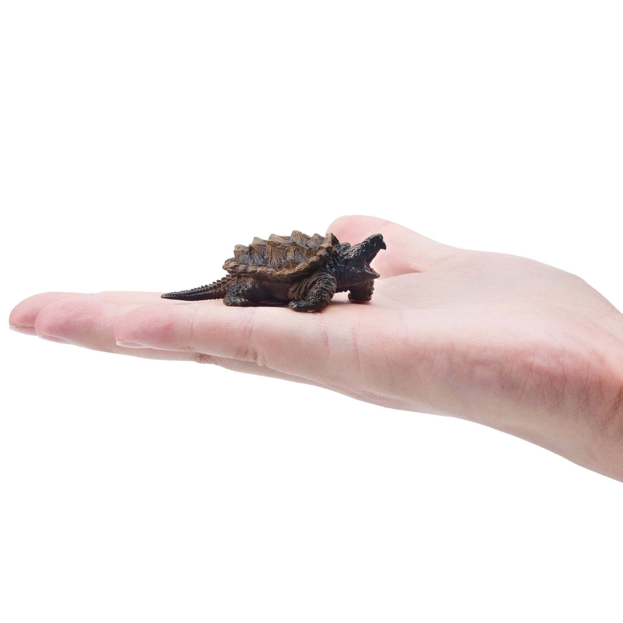 Toymany Mini Alligator Snapping Turtle Figurine Toy-on hand