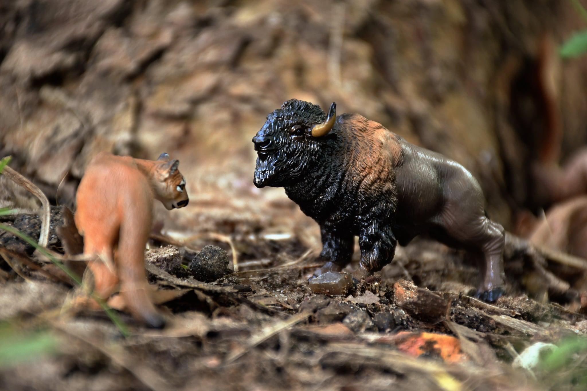 Toymany Mini American Bison Figurine Toy - Small Size