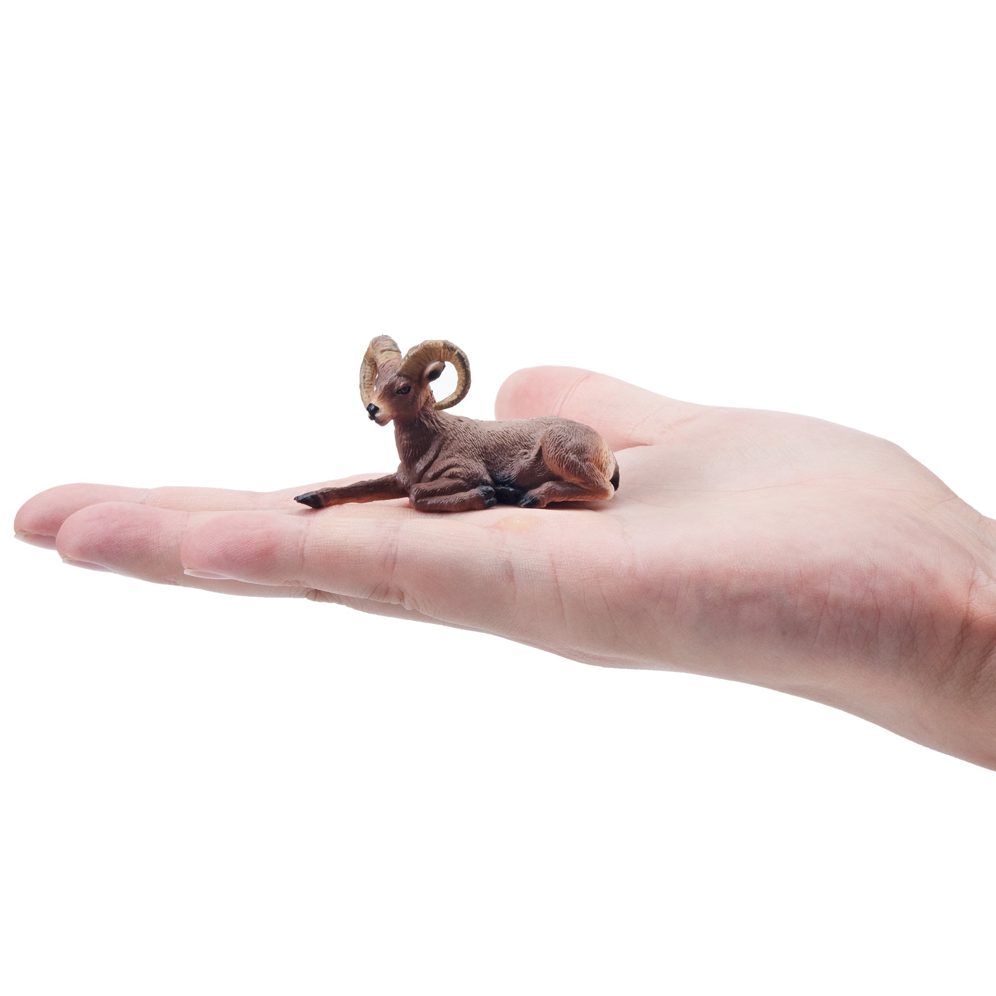 Toymany Mini Bighorn Sheep Figurine Toy--on hand