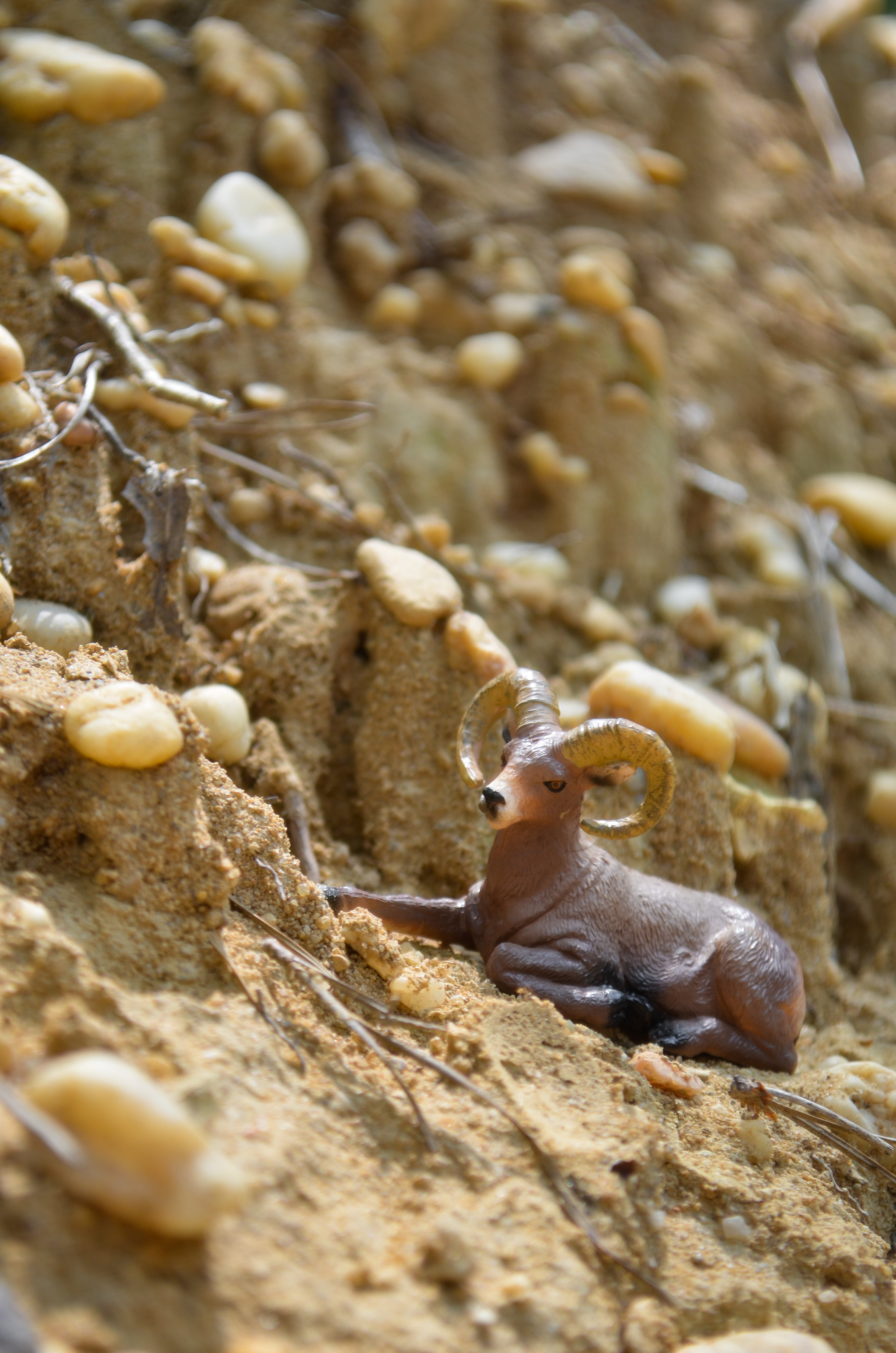 Toymany Mini Bighorn Sheep Figurine Toy - Small Size