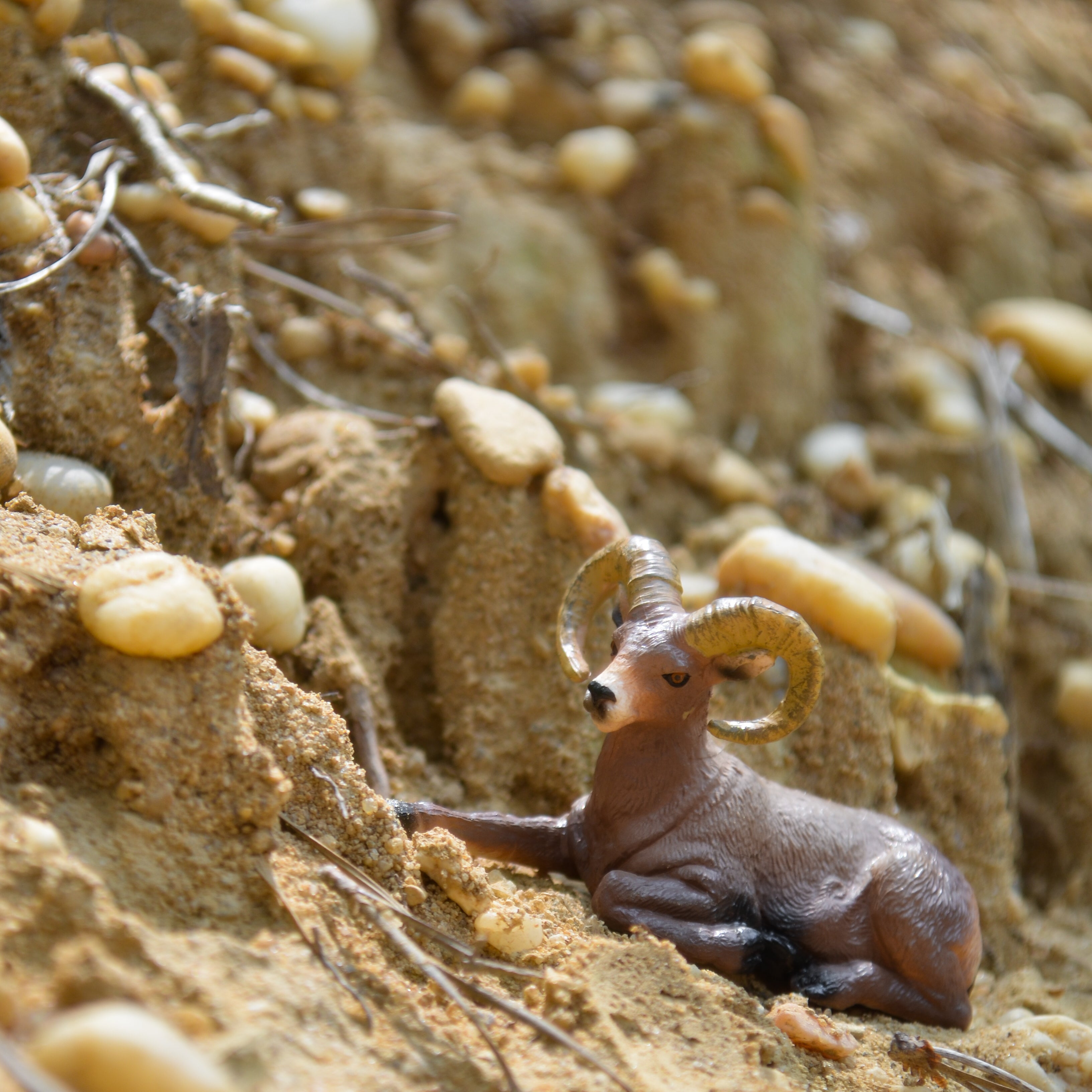 لعبة مجسّم الكبش الجبلي من Toymany