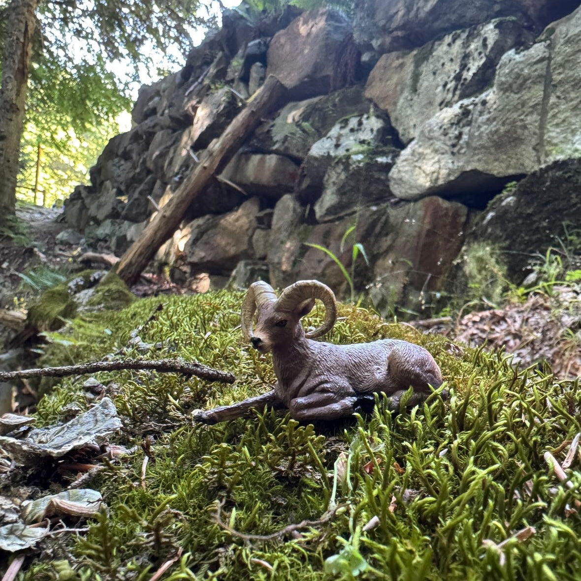 لعبة مجسّم الكبش الجبلي من Toymany