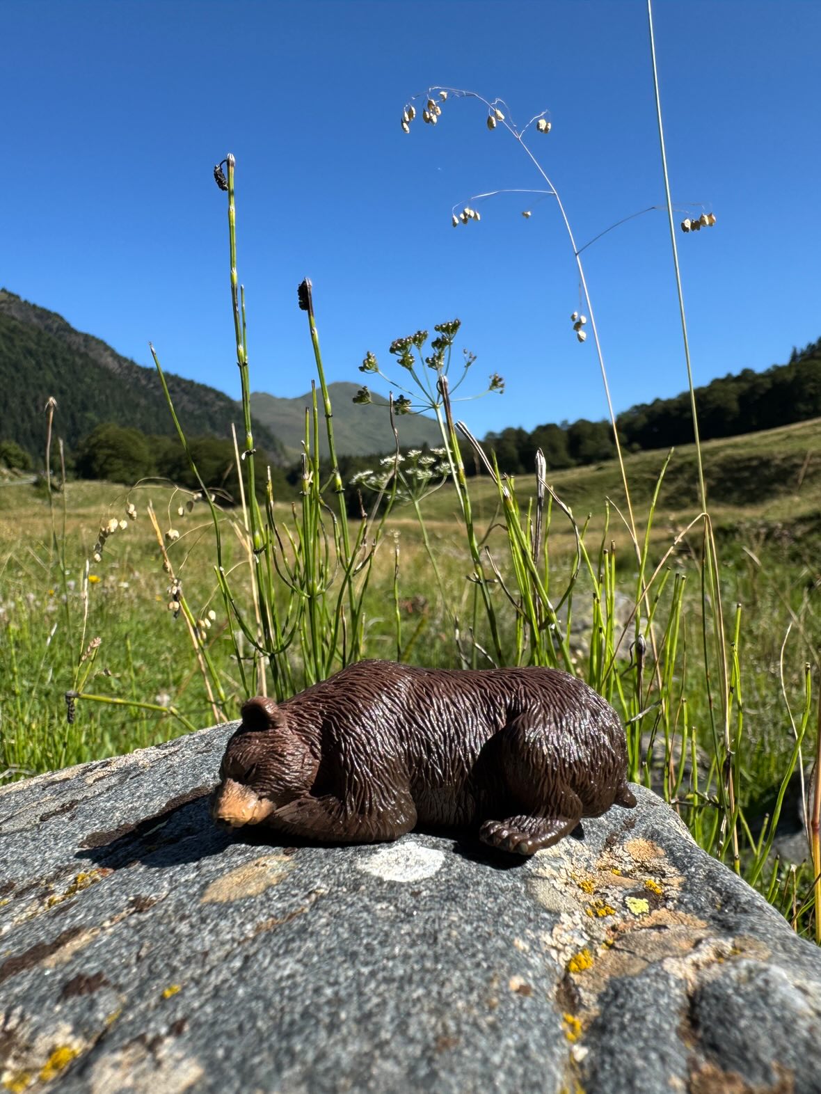 Toymany Mini Brown Bear Figurine Toy - Small Size