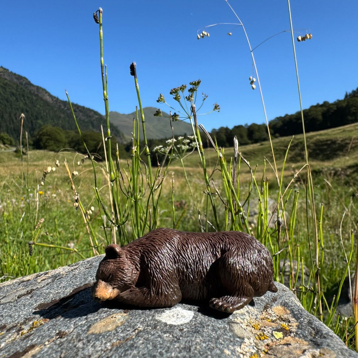 Juguete figura de oso pardo Toymany