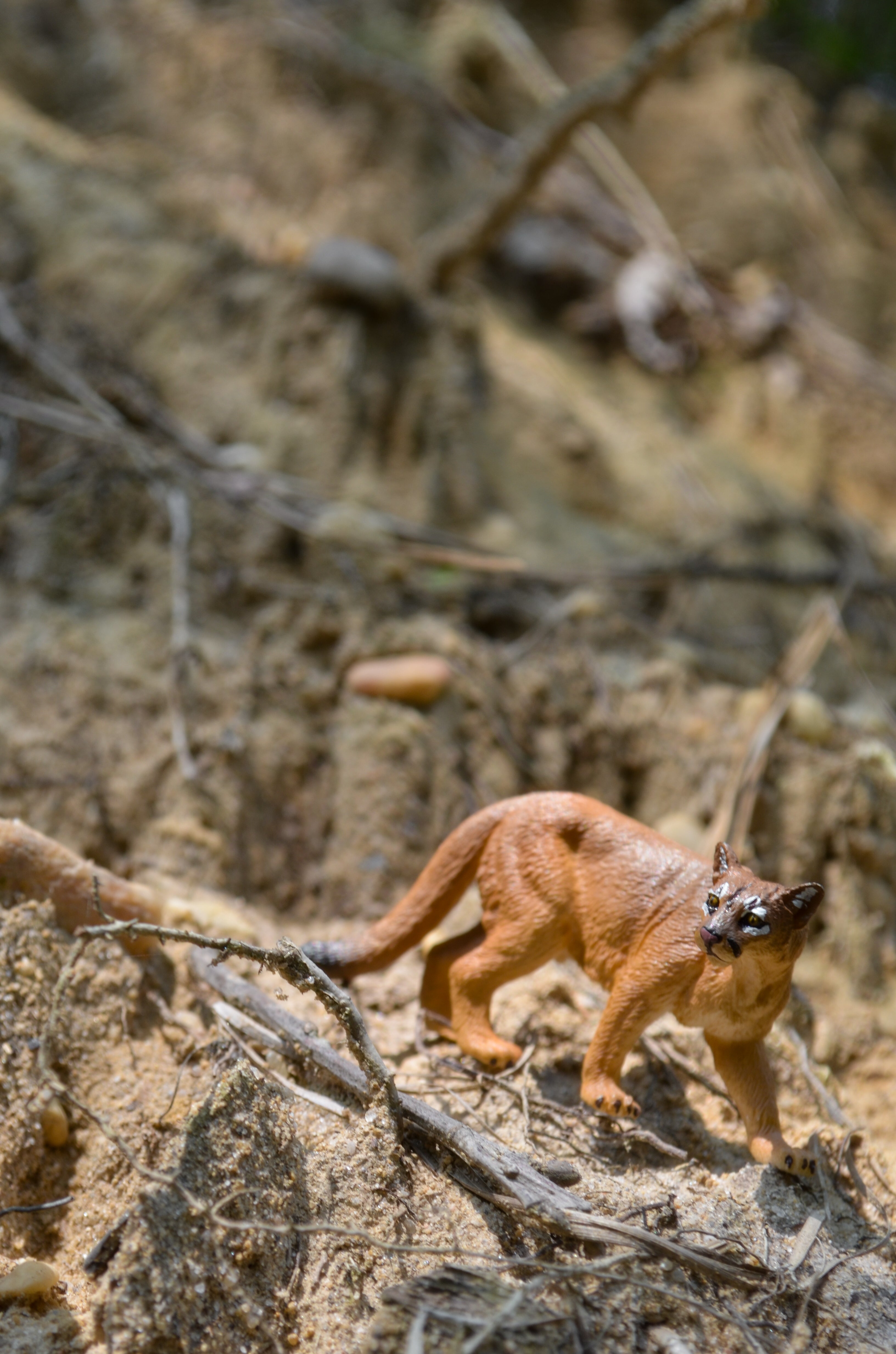 Toymany Mini Cougar Figurine Toy - Small Size