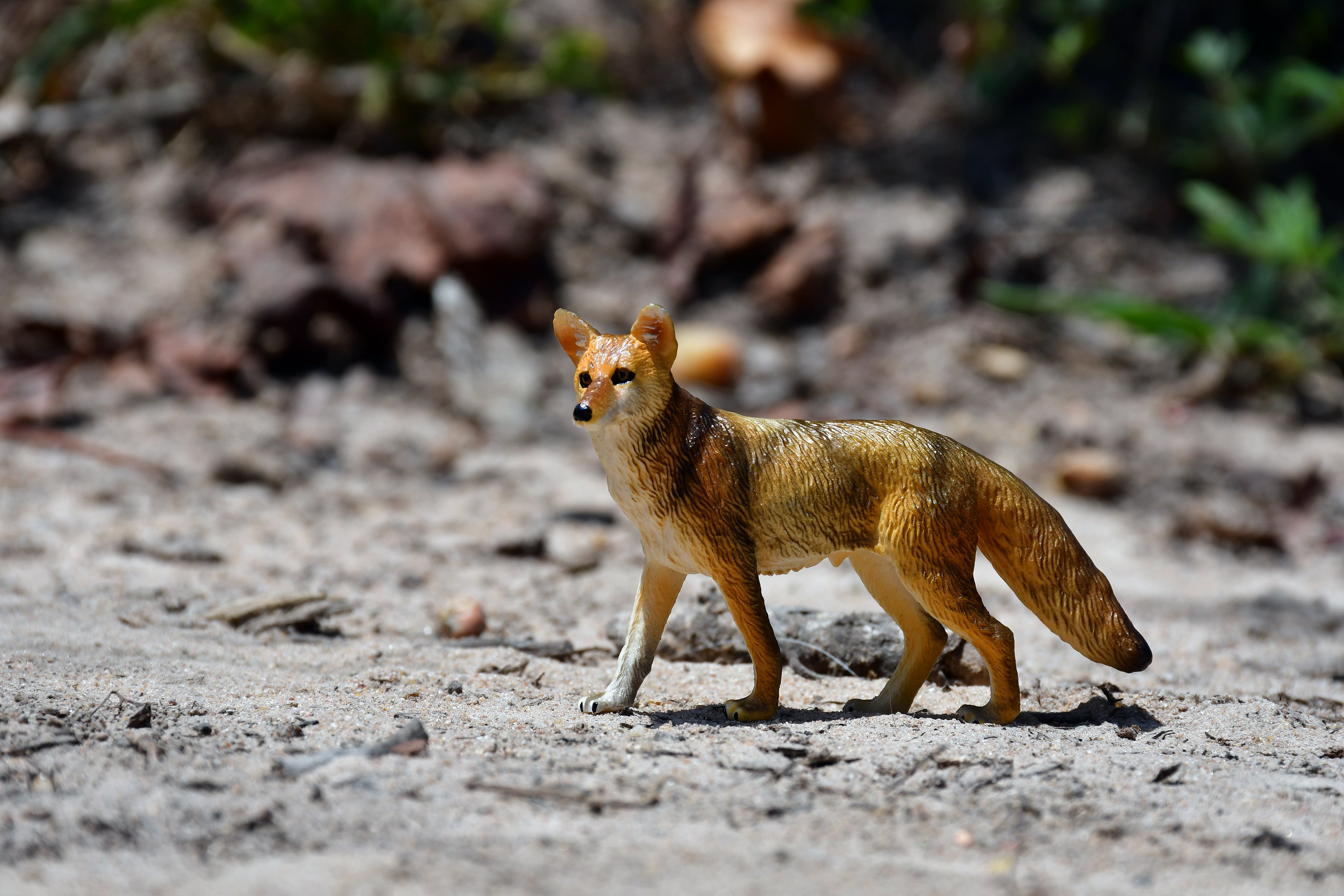 Toymany Mini Coyote Figurine Toy - Small Size