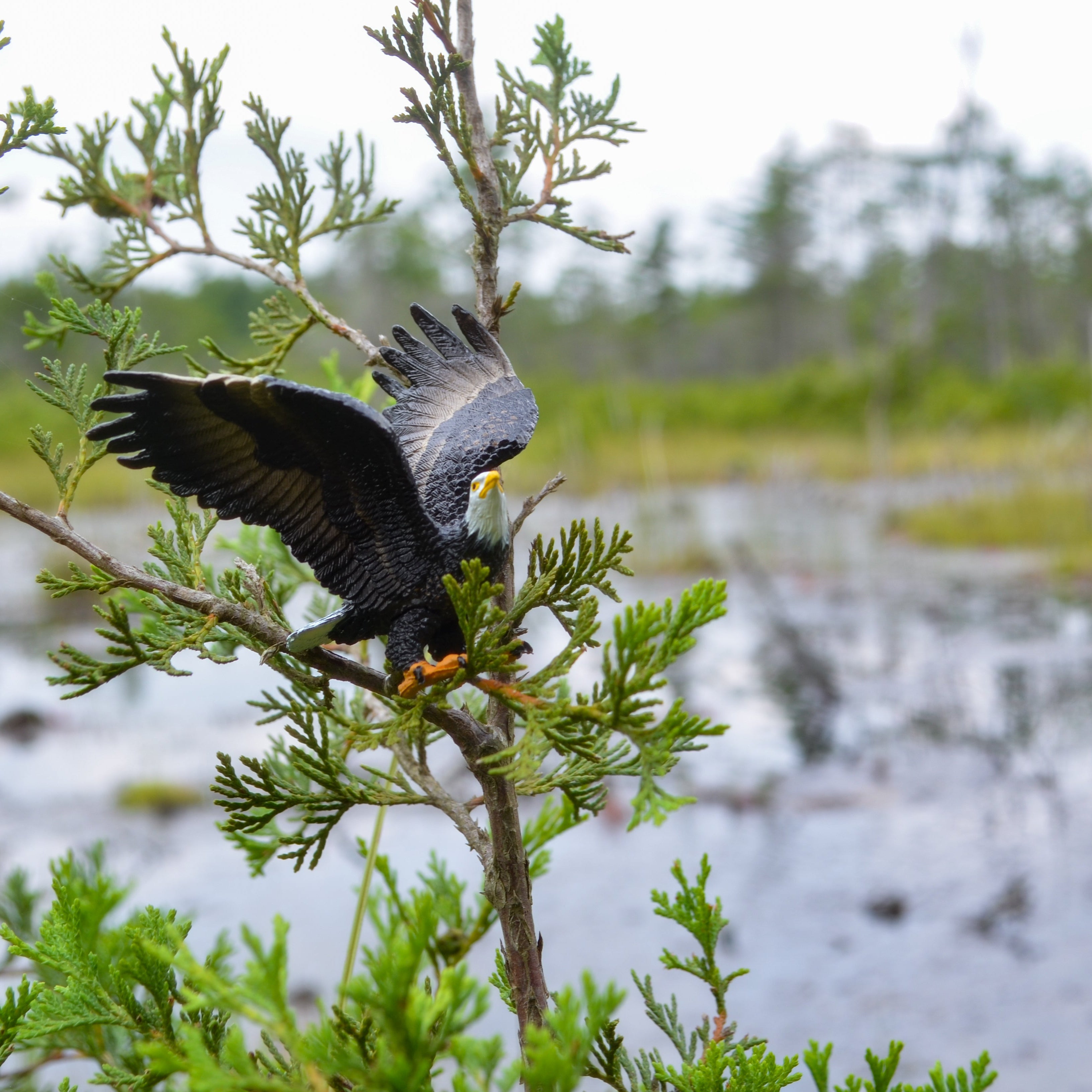 Juguete figura de águila Toymany