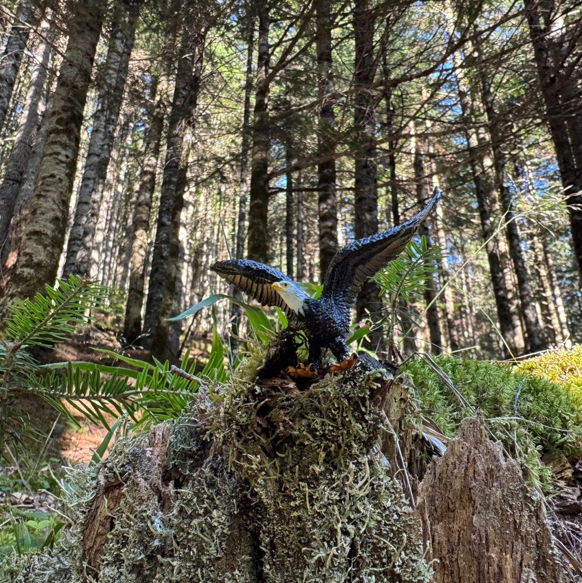 Juguete figura de águila Toymany