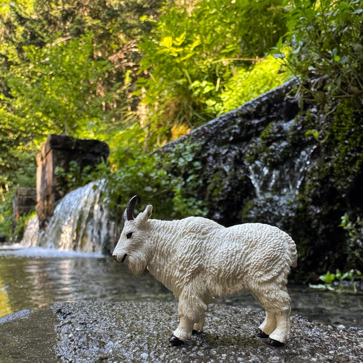 Toymany Mini Mountain Goat Figurine Toy - Small Size