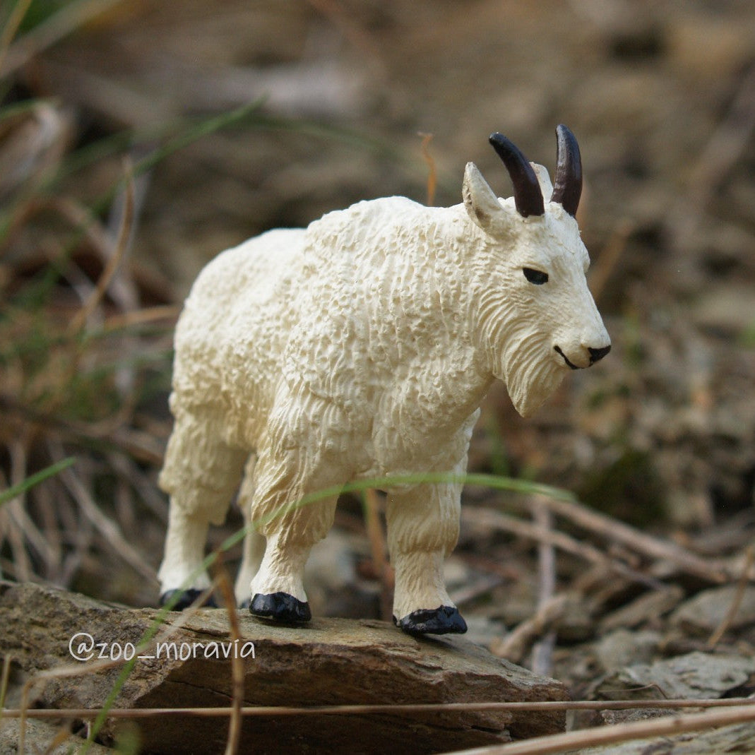 Toymany Mini Mountain Goat Figurine Toy - Small Size