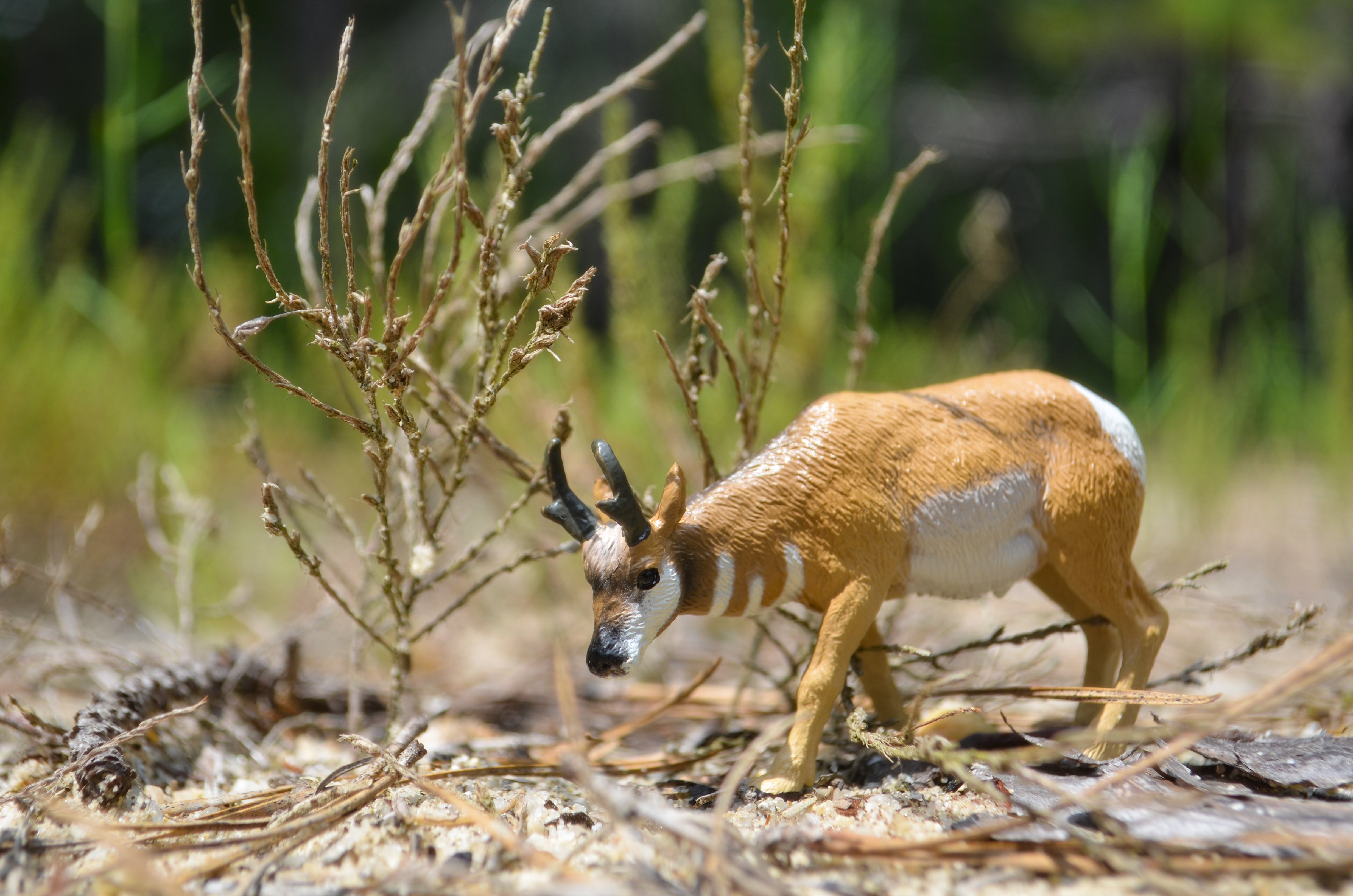 Juguete figura de berrendo Toymany