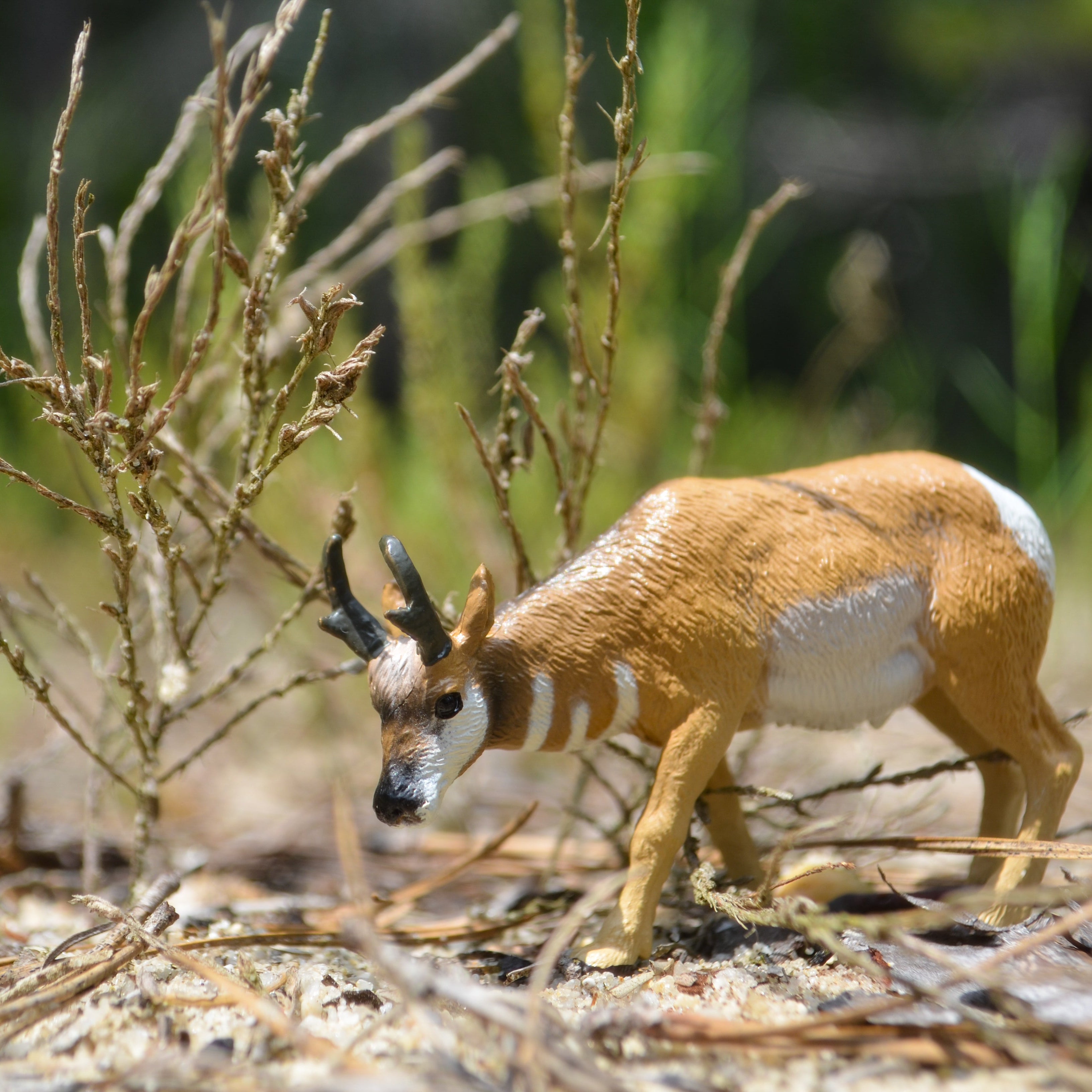 Toymany Mini Pronghorn Figurine Toy - Small Size