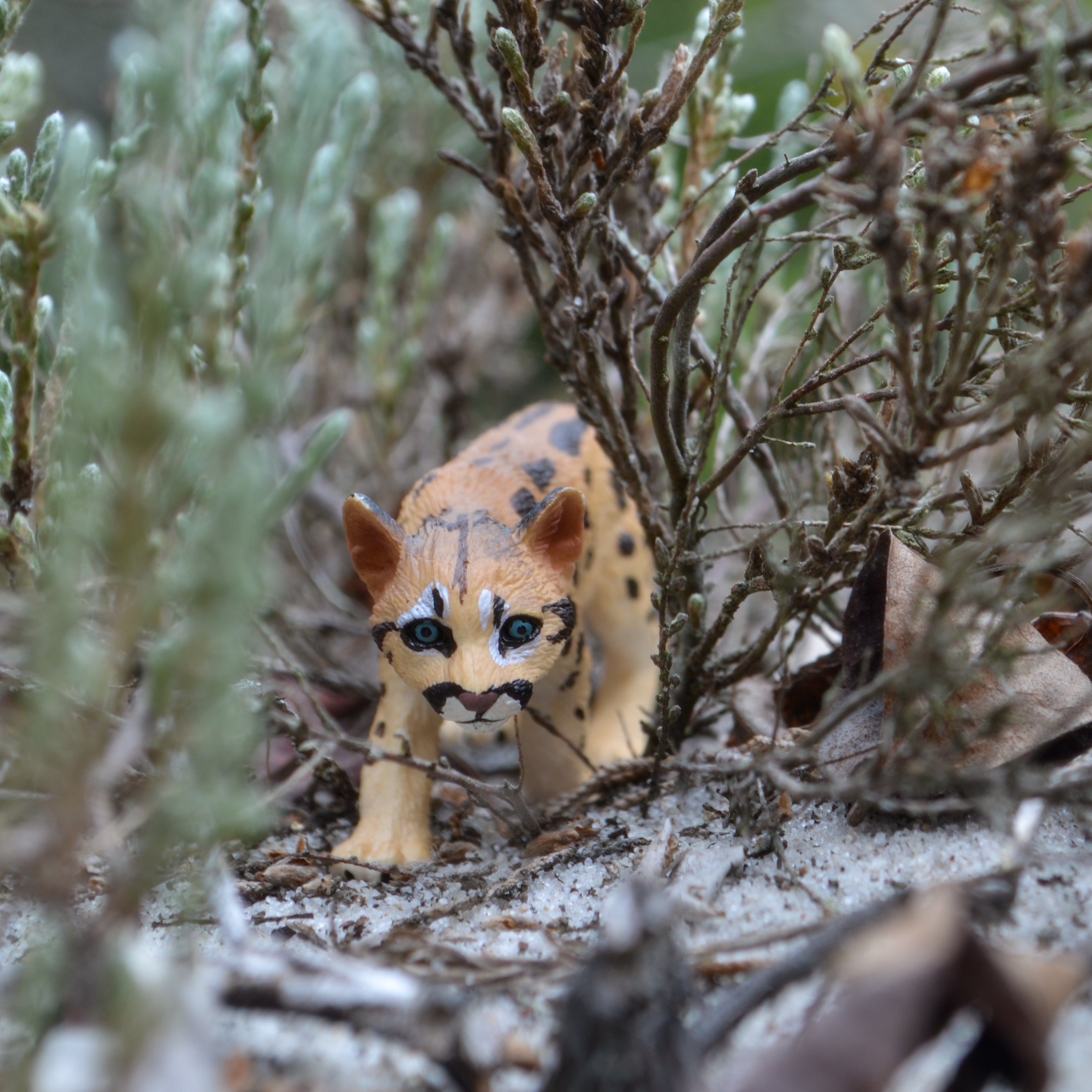 Figura de juguete Toymany de cachorro de león de montaña