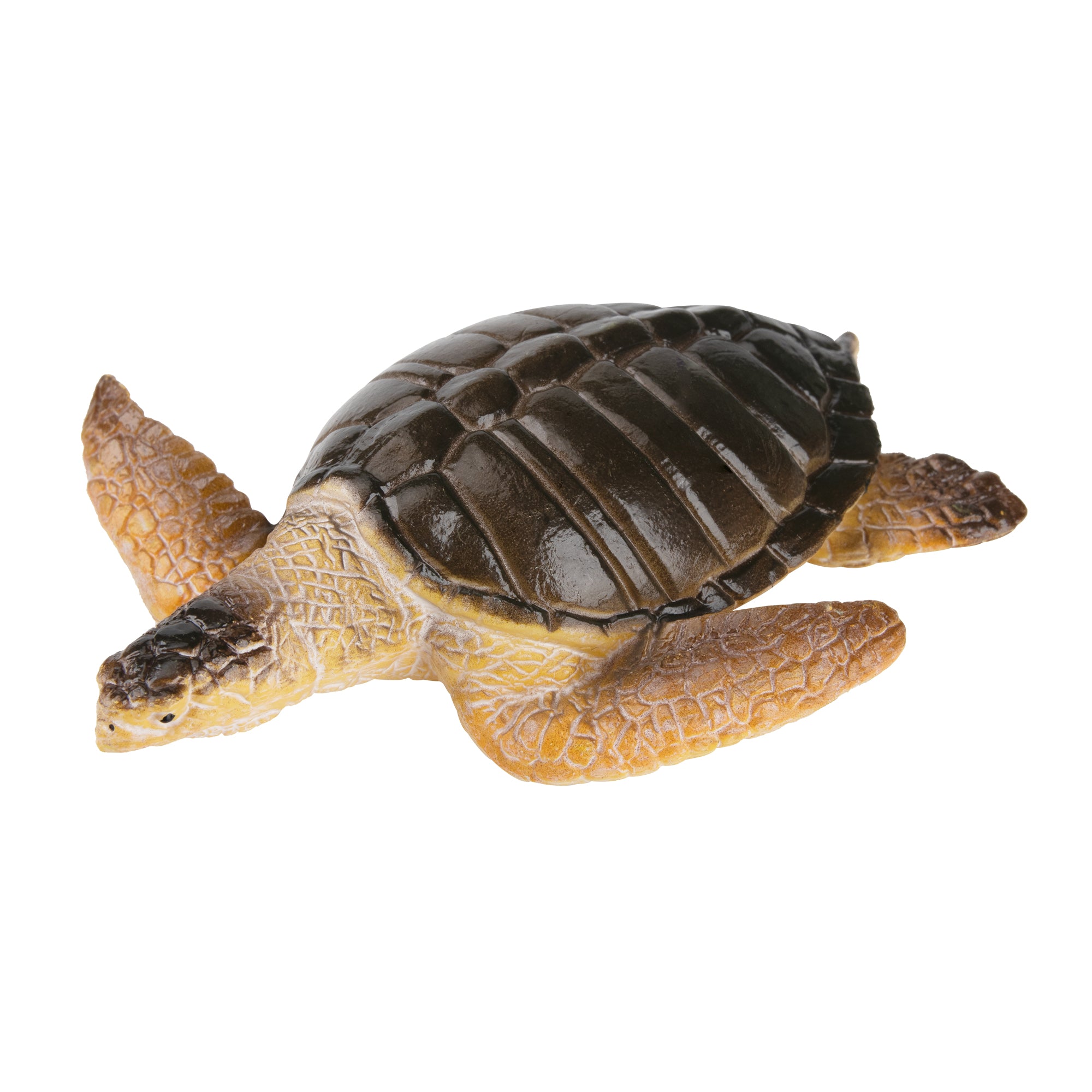 Toymany Olive Ridley Sea Turtle Figurine Toy-front