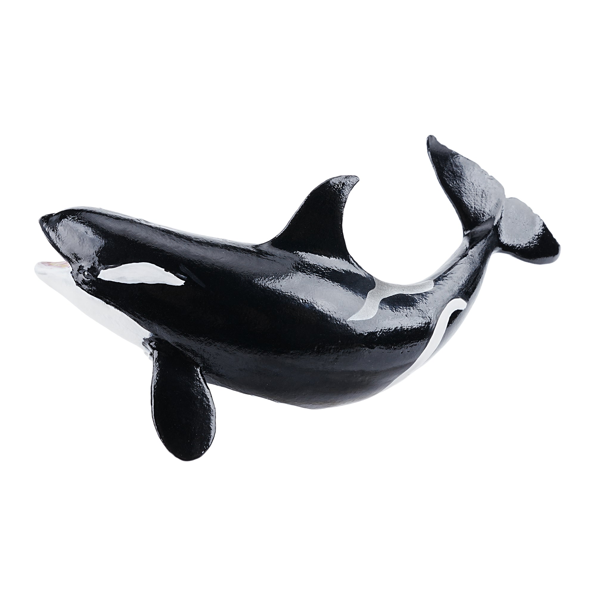 Toymany Orca Calf | Realistic Animal Figurine Toy