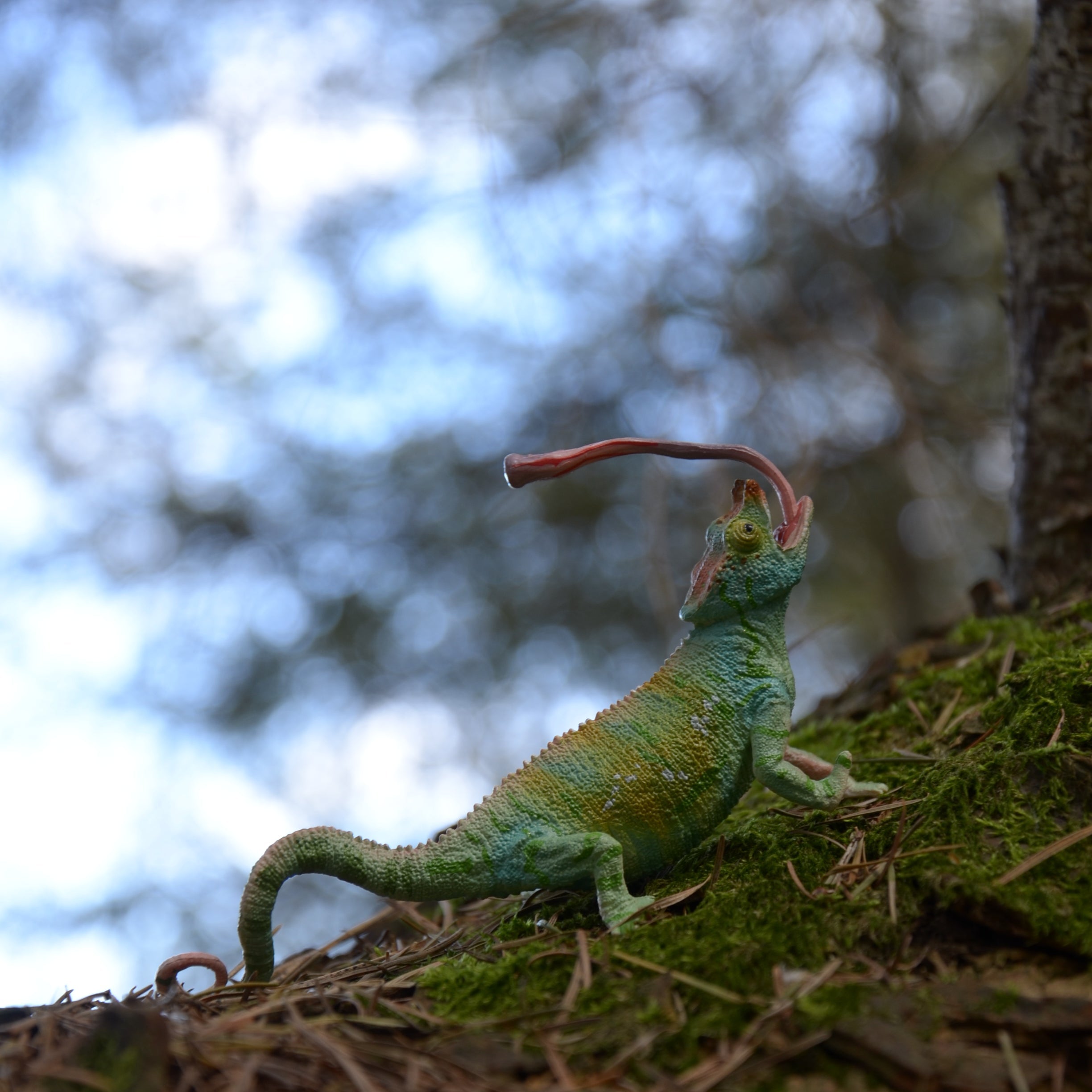 Juguete de figura de camaleón de Parson Toymany