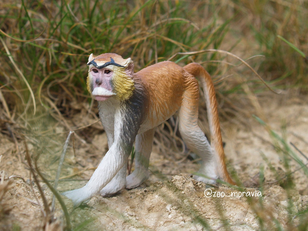 Jouet figurine de singe patas Toymany