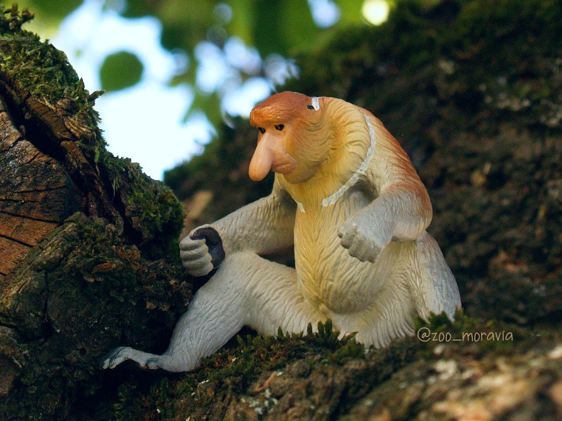 Jouet figurine de nasique Toymany