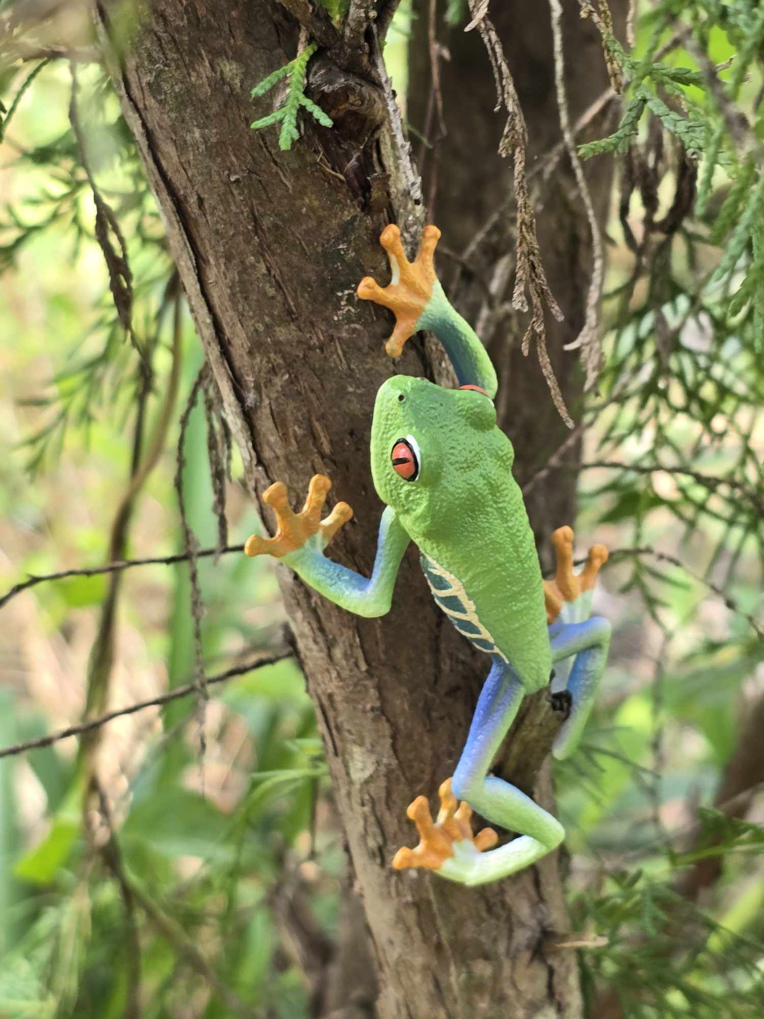 Toymany Red-eyed Tree Frog Figurine Toy