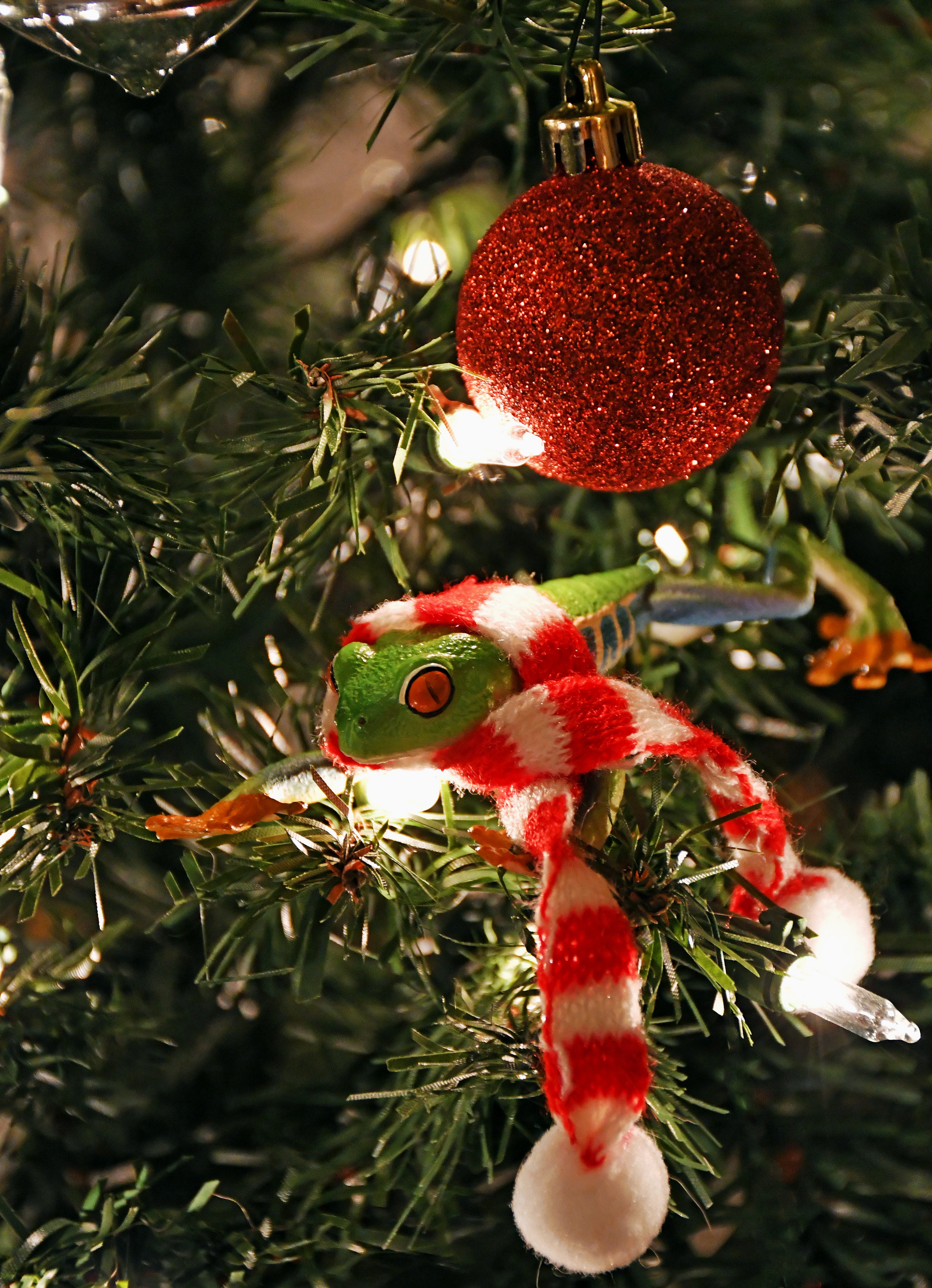 Toymany Red-eyed Tree Frog Figurine Toy