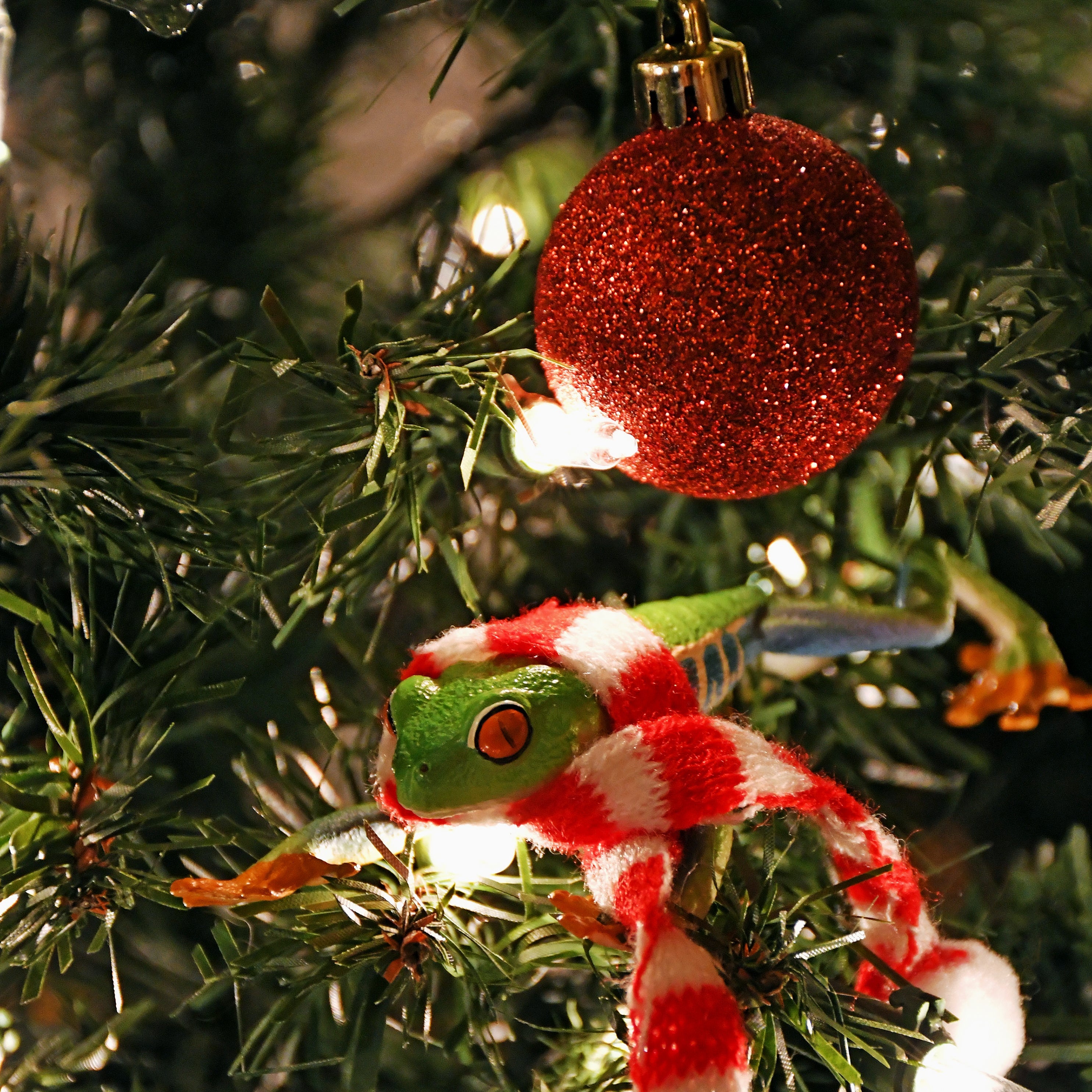 Figura de Rana de Árbol de Ojos Rojos Toymany