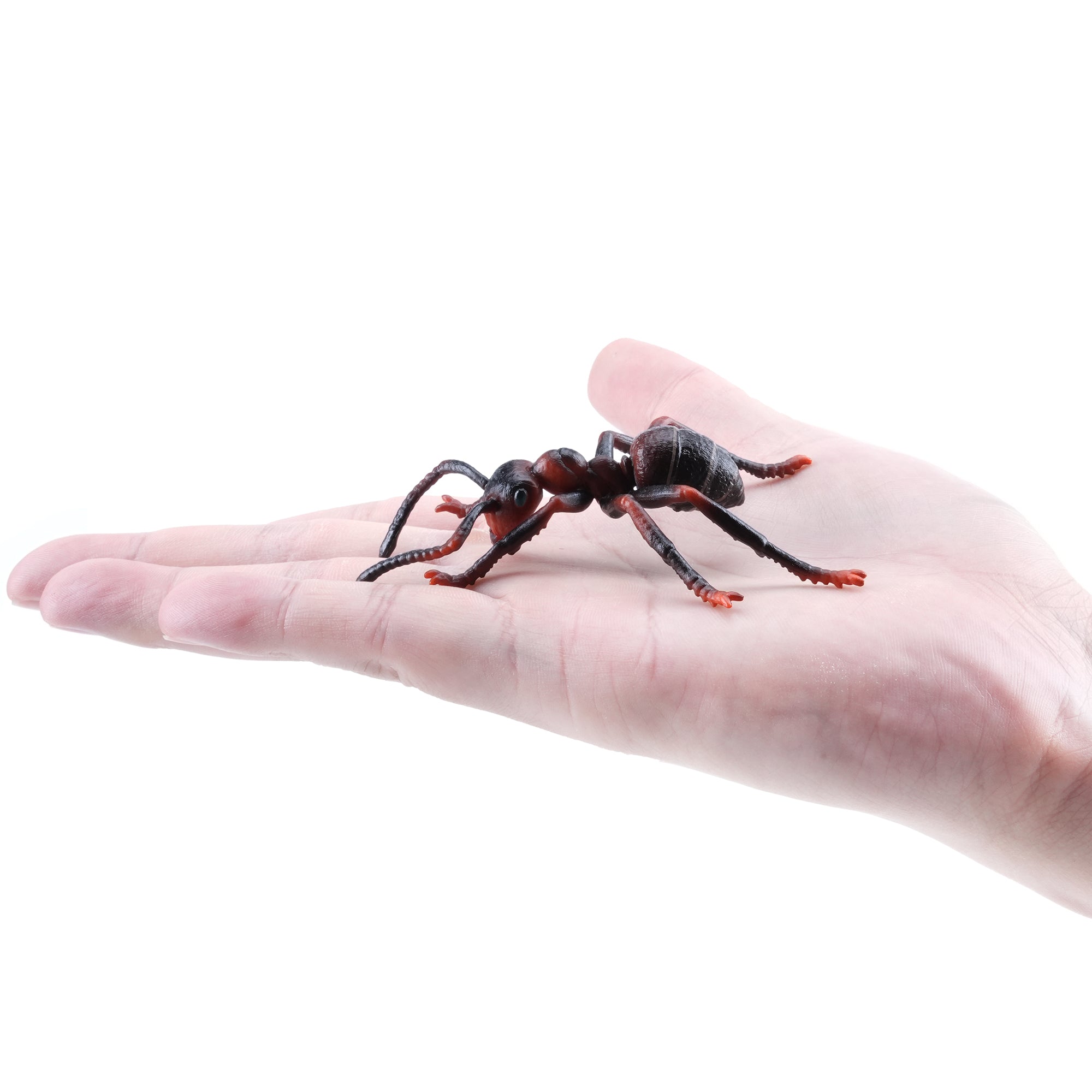 Toymany_Red_Imported_Fire_Ant_Figurine_Toy-on_hand